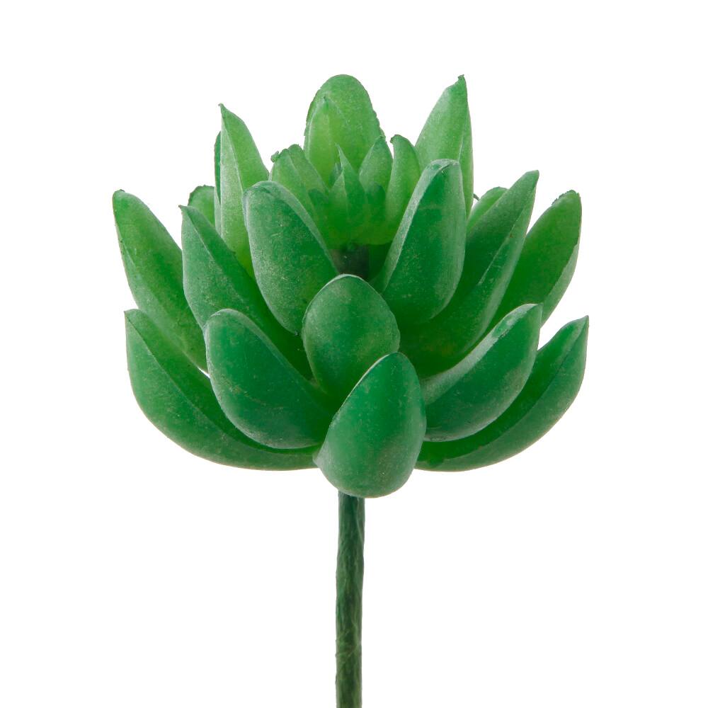 Flora Bunda&#xAE; Green Small Little Gem Succulent Pick, 12ct.