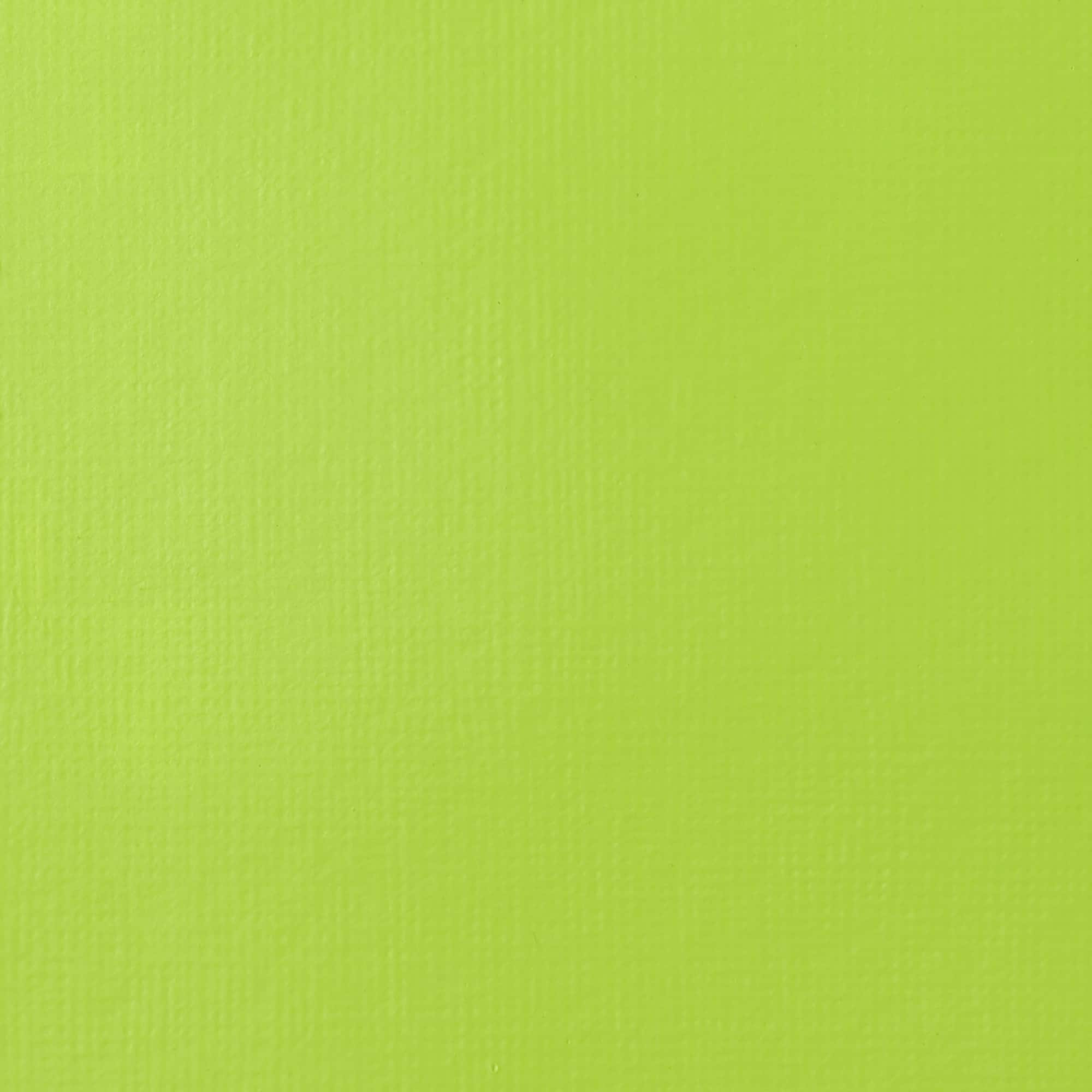 Liquitex&#xAE; Professional 2oz. Heavy Body Acrylic Paint