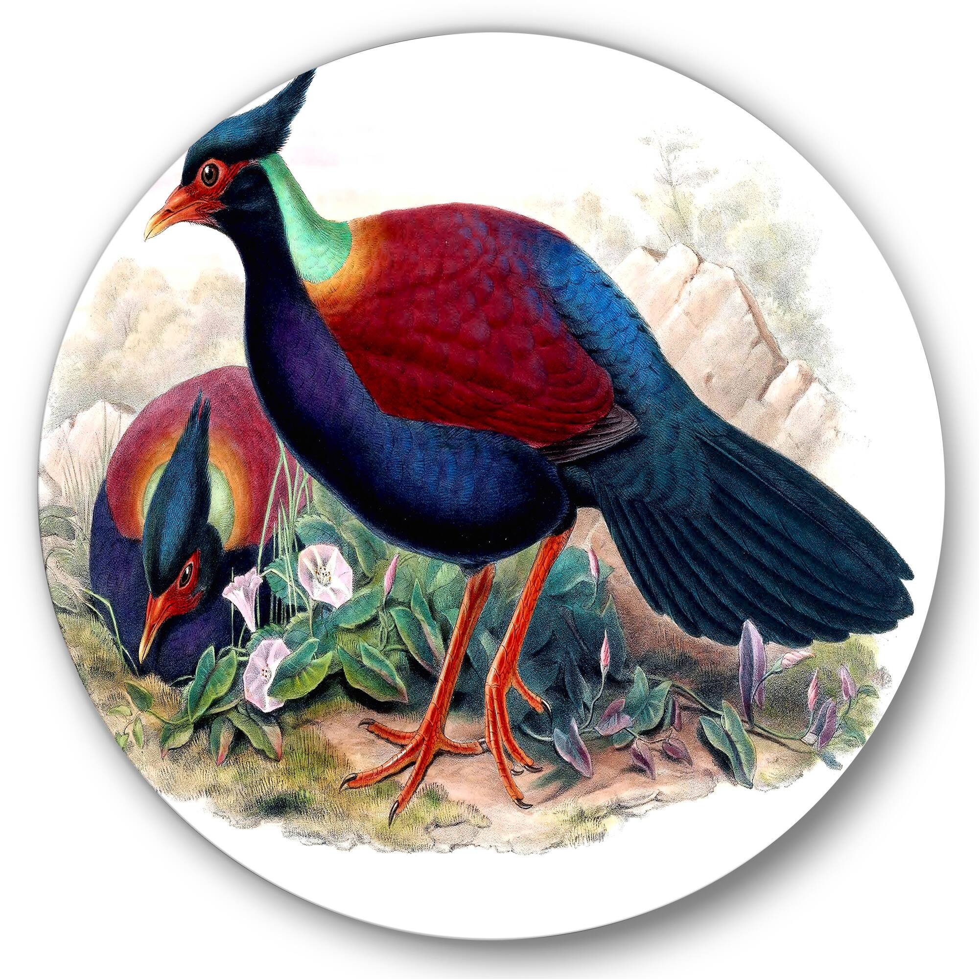 Designart - Vintage Birds In The Wild II - Traditional Metal Circle Wall Art