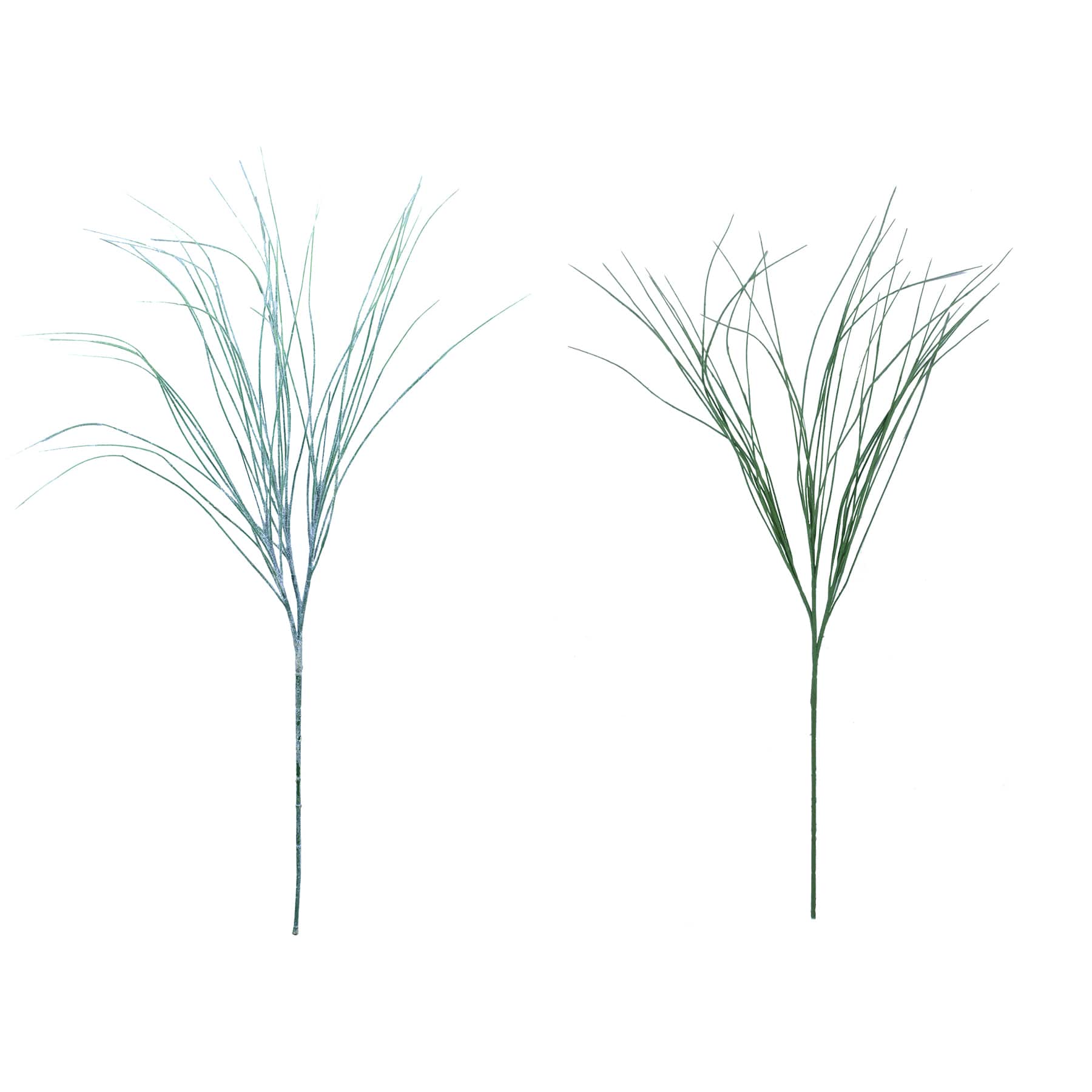 Assortiment de branches de brindilles d’Ashland