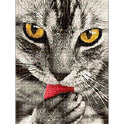 DIY 5D Diamond Painting Kits voor Volwassenen Beginners, Witte Kat Bloemen Diamant Art Kits, Volledige Ronde Boor Dieren Diamant Stippen Edelsteen Art Borduurwerk, Kerst Thuis Wall Art Decor Gift 50 x
