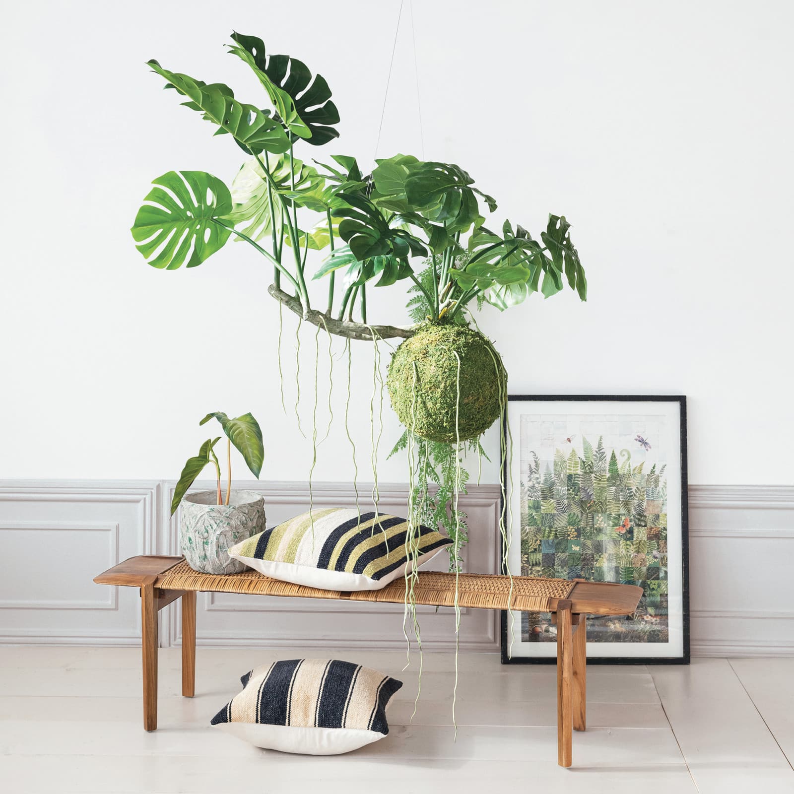 Hello Honey® 51" Lush Green Hanging Monstera Kokedama