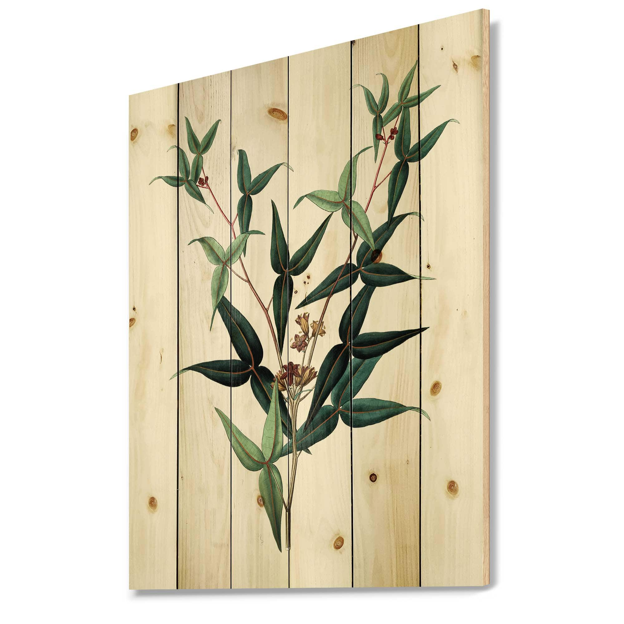 Designart - Vintage Green Leaves Plants VIII - Traditional Print on Natural Pine Wood