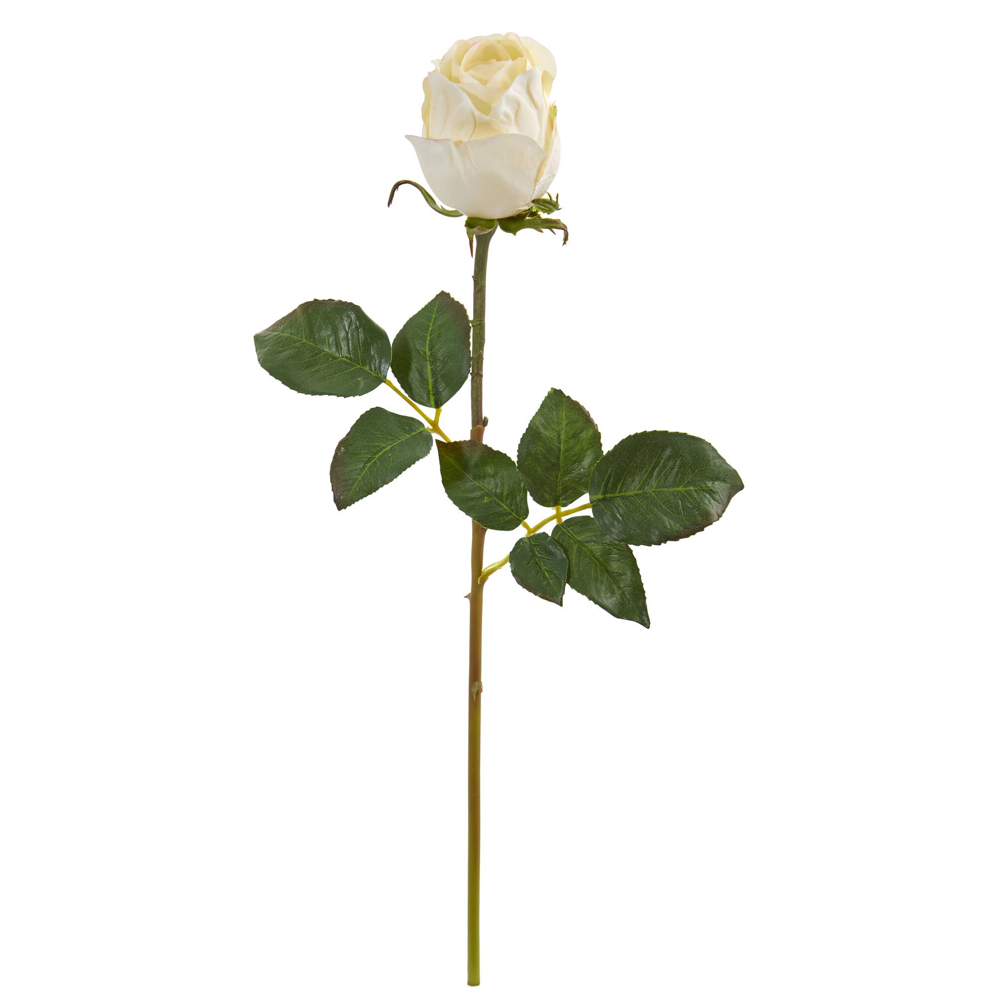 【新品未開封】ROSE BUD standingMICKEYMOUSEsweat Rose Bud Artificial Flower Stem, 6ct. | Michaels
