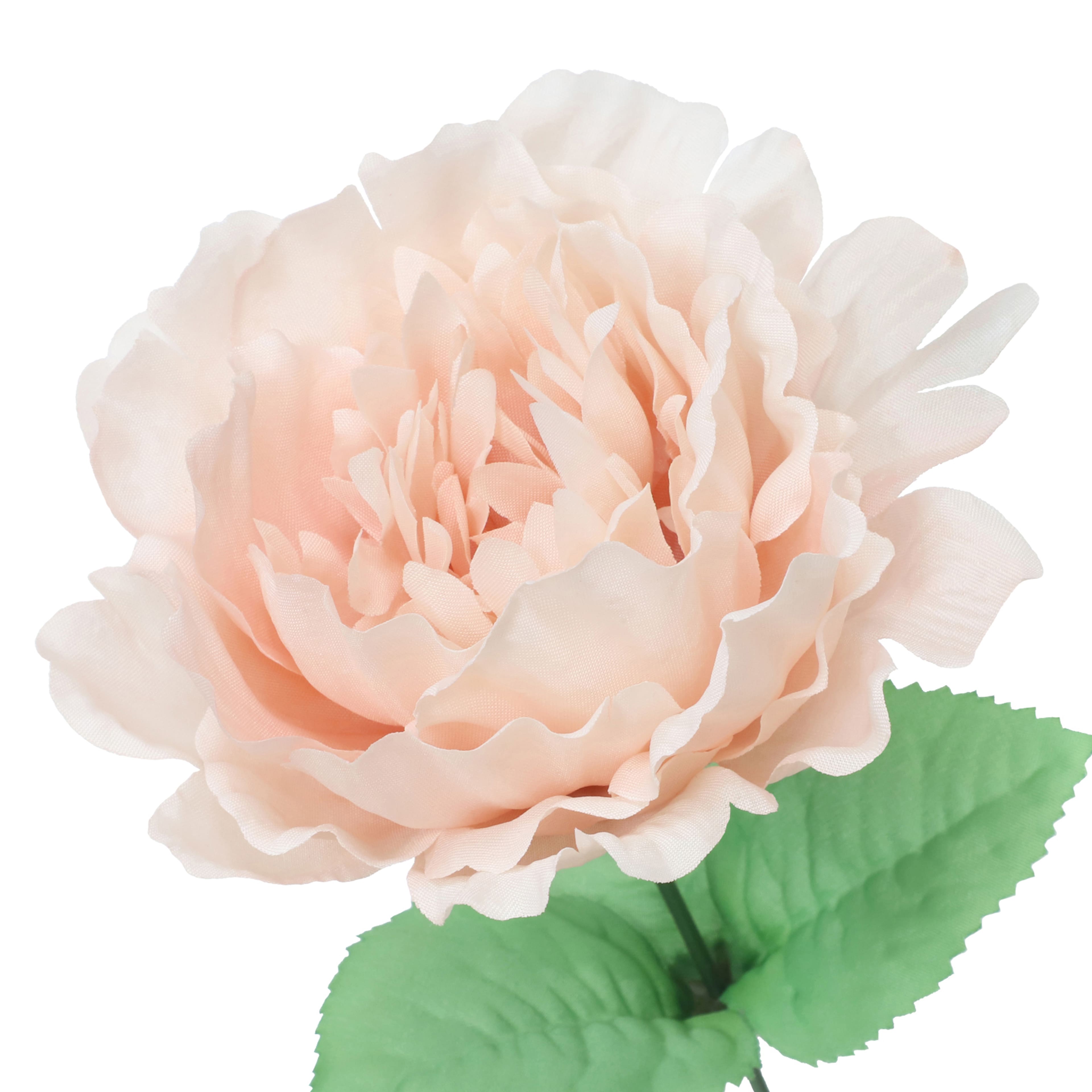 12&#x22; Pink Peony Bush by Ashland&#xAE;