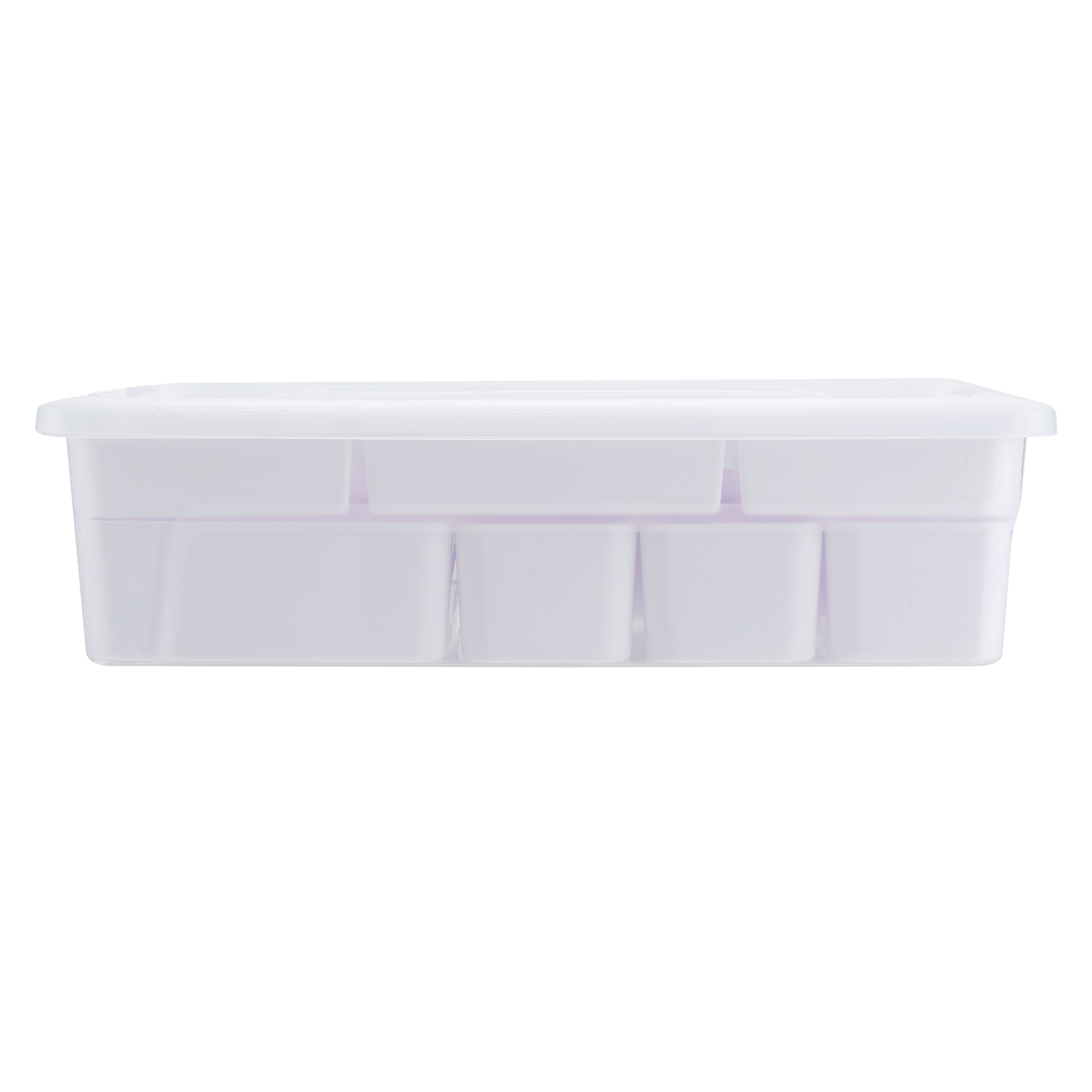 5.9qt. Storage Case by Simply Tidy®