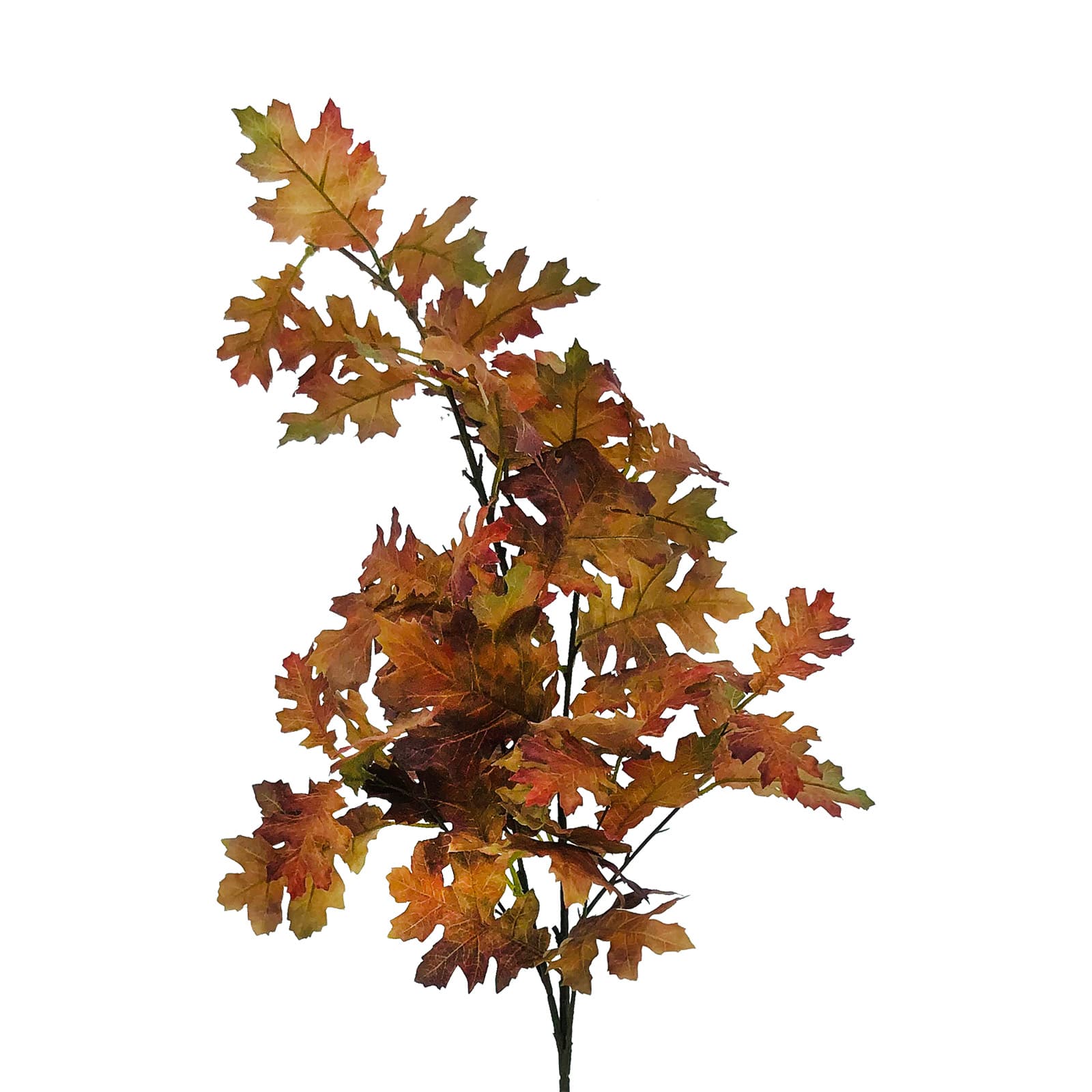 Brown Oak Leaves Stem by Ashland&#xAE;