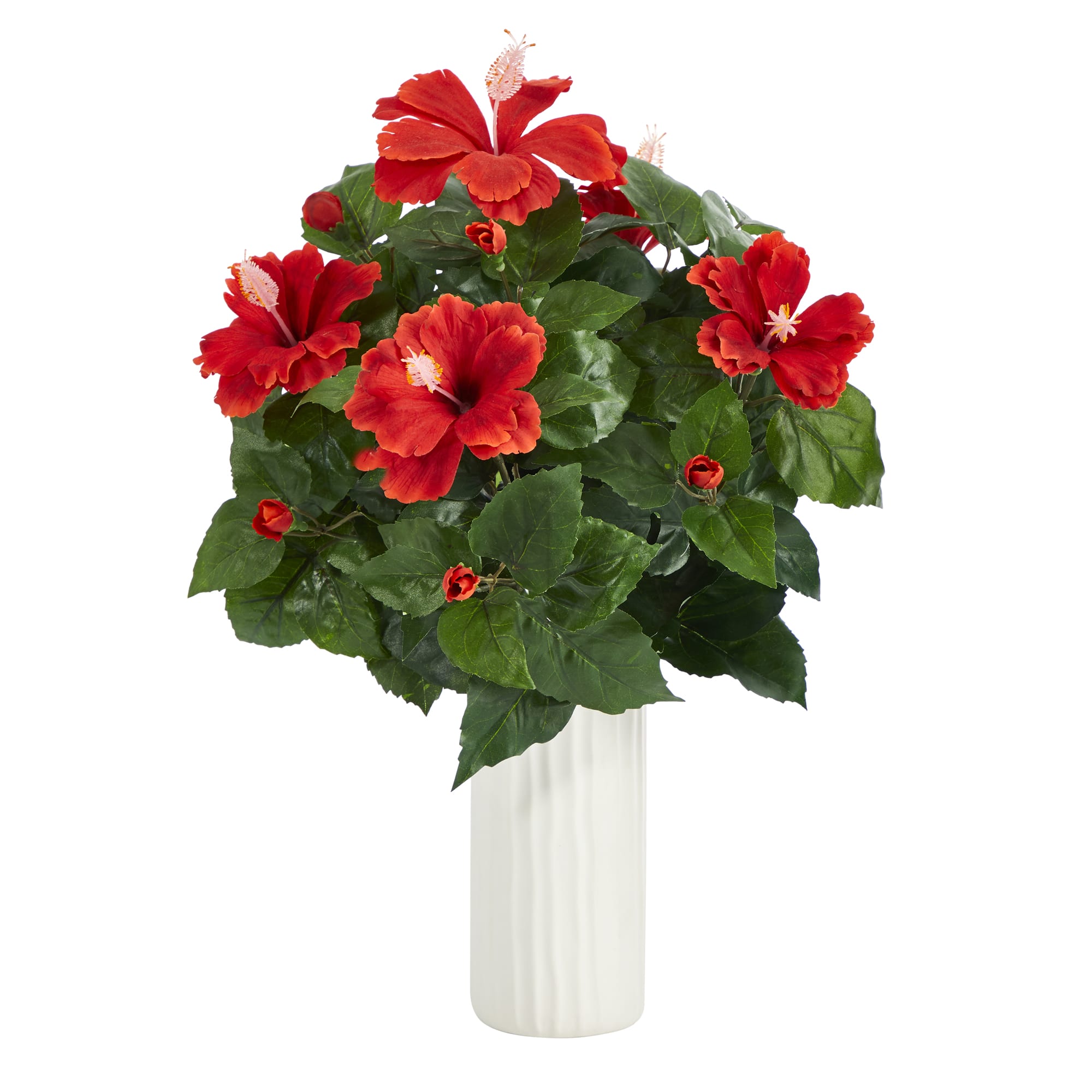 20&#x22; Hibiscus Plant in White Planter