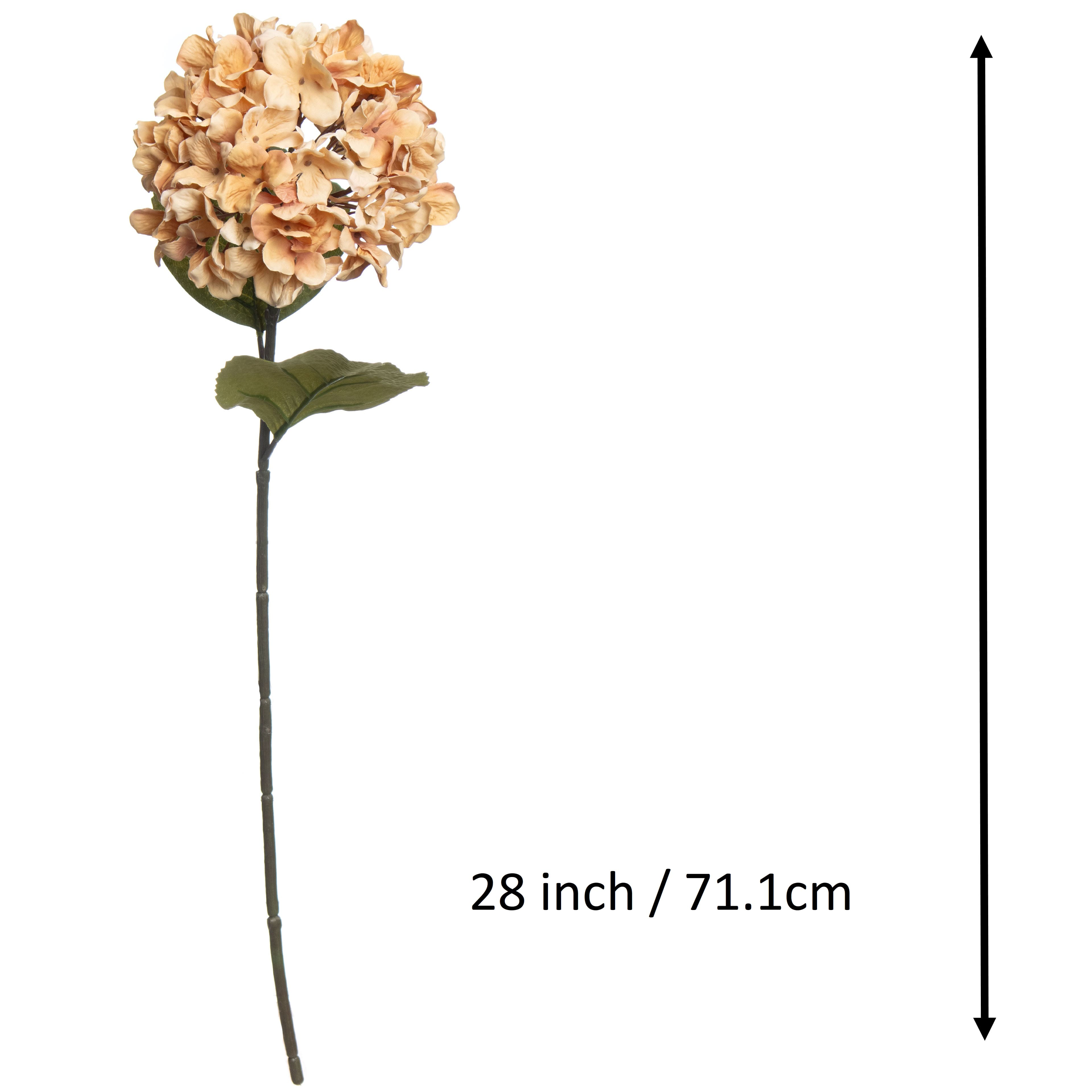 28&#x22; Beige Hydrangea Stem by Ashland&#xAE;