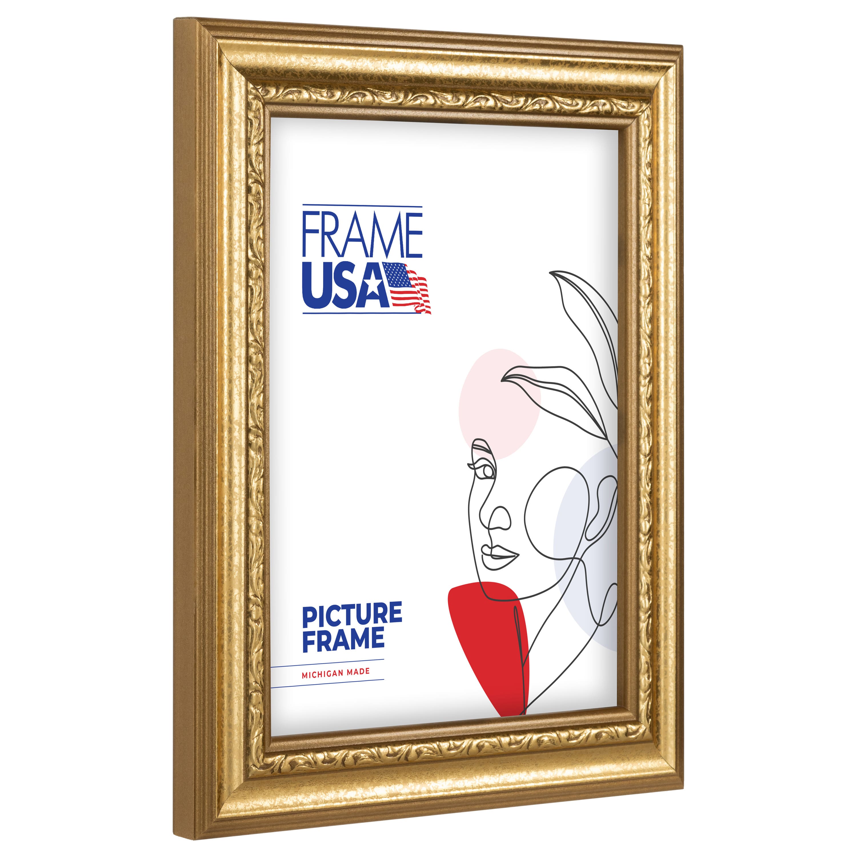 Frame USA American Value Gold Single Image Picture Frame