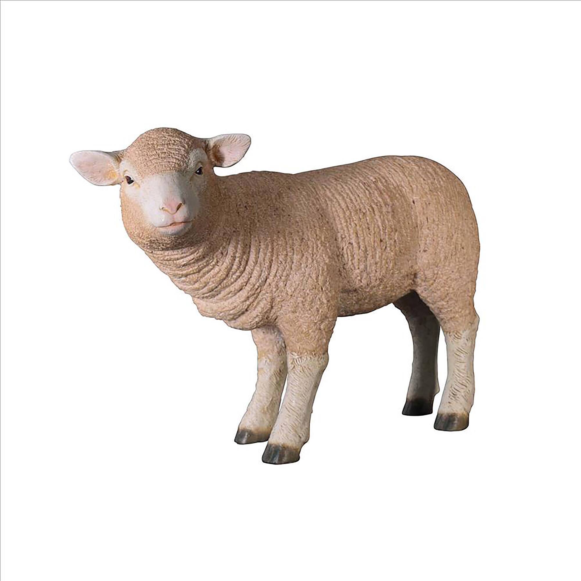 Design Toscano 24.5" Merino Ewe Life-Size Standing Lamb Statue