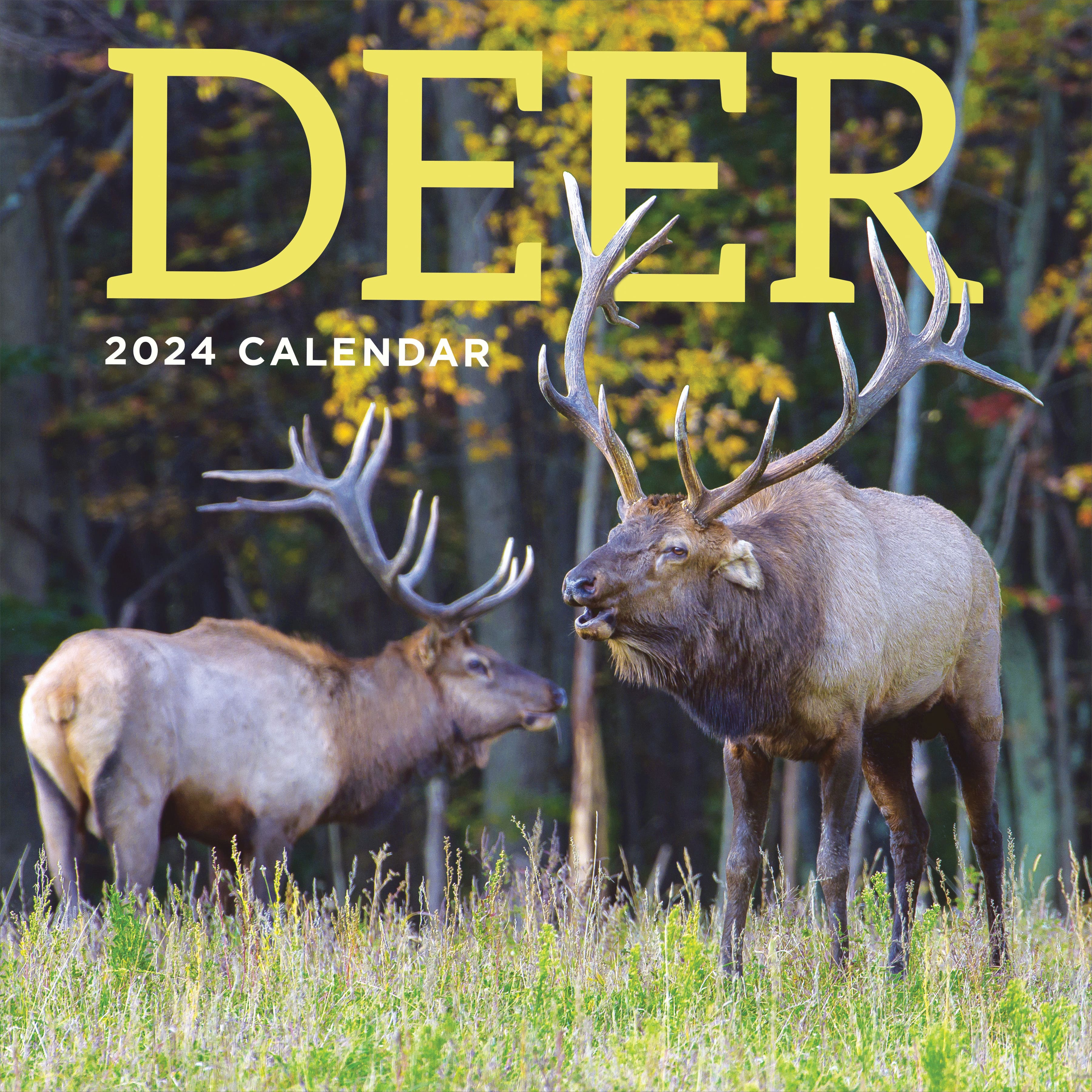 TF Publishing 2024 Deer Wall Calendar
