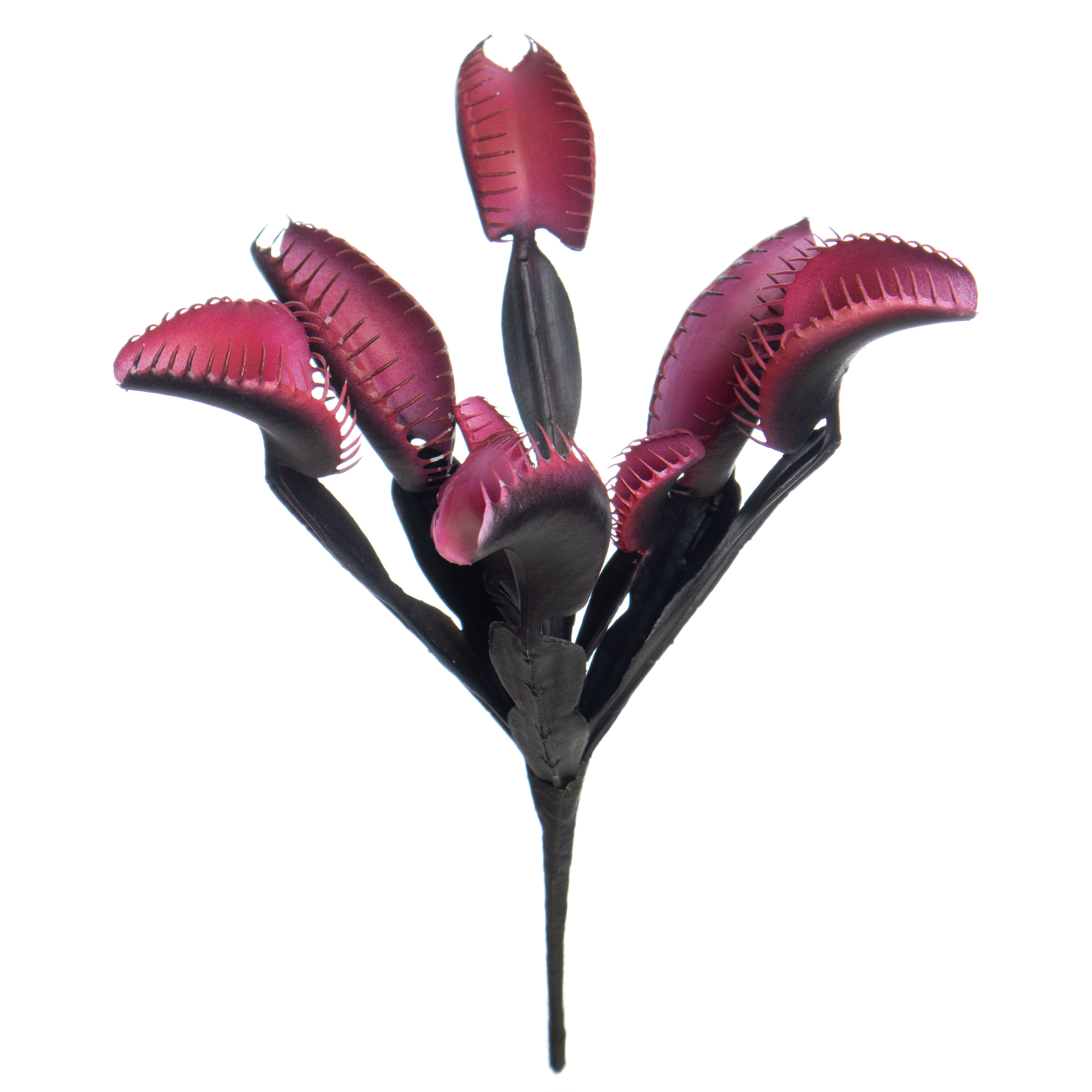 10.5&#x22; Black &#x26; Pink Venus Flytrap Bush by Ashland&#xAE;