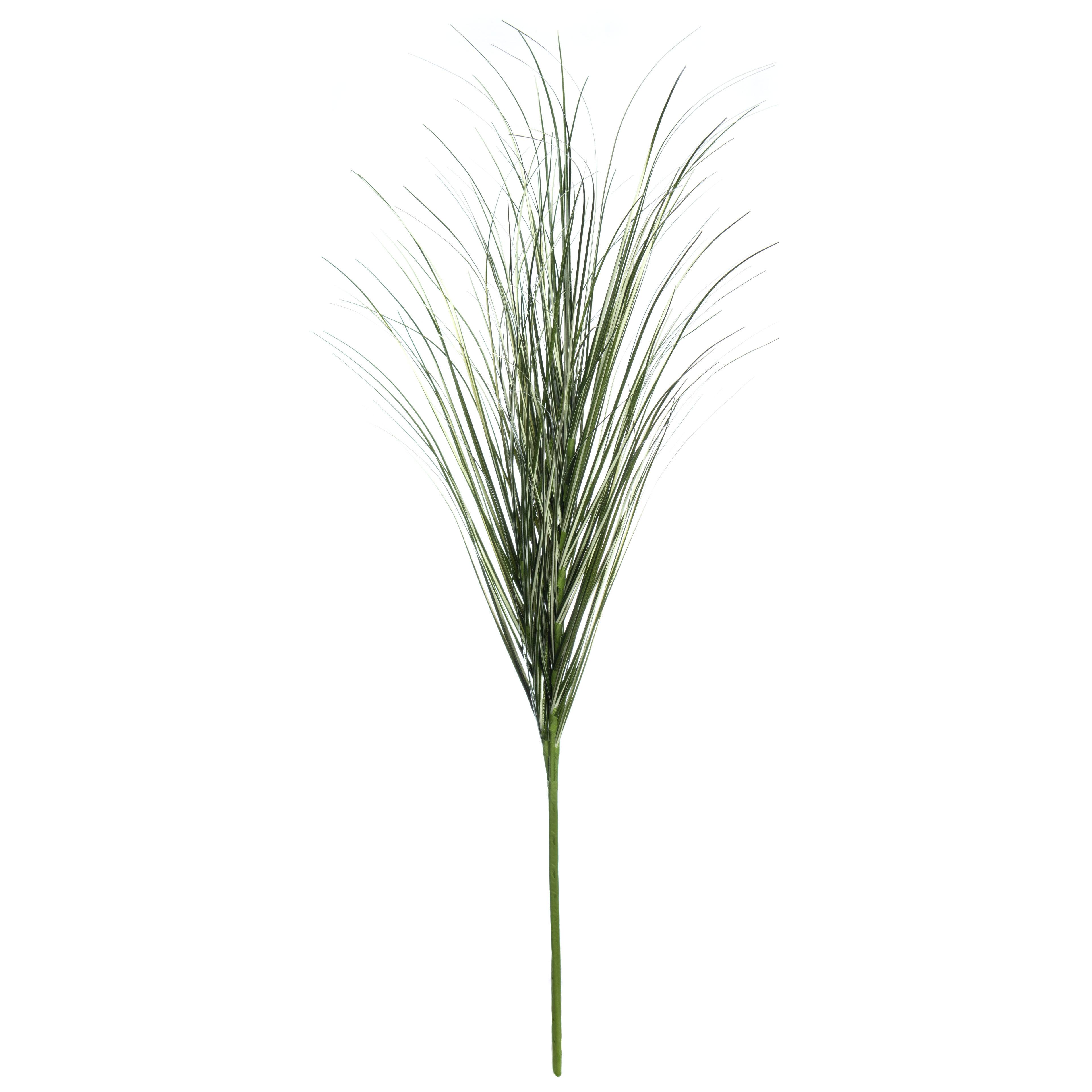 Tall Green Grass Stem by Ashland®