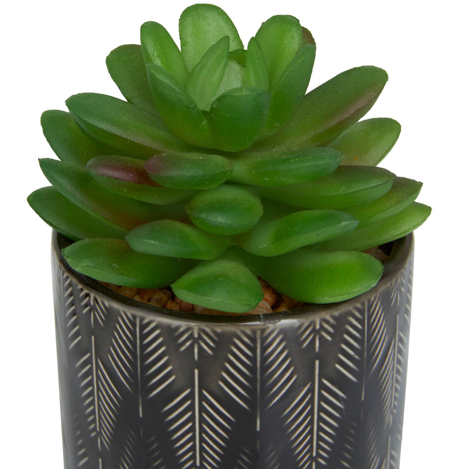 Green Faux Foliage Small Succulent Artificial Plant with Leaf Patterned Pot Set