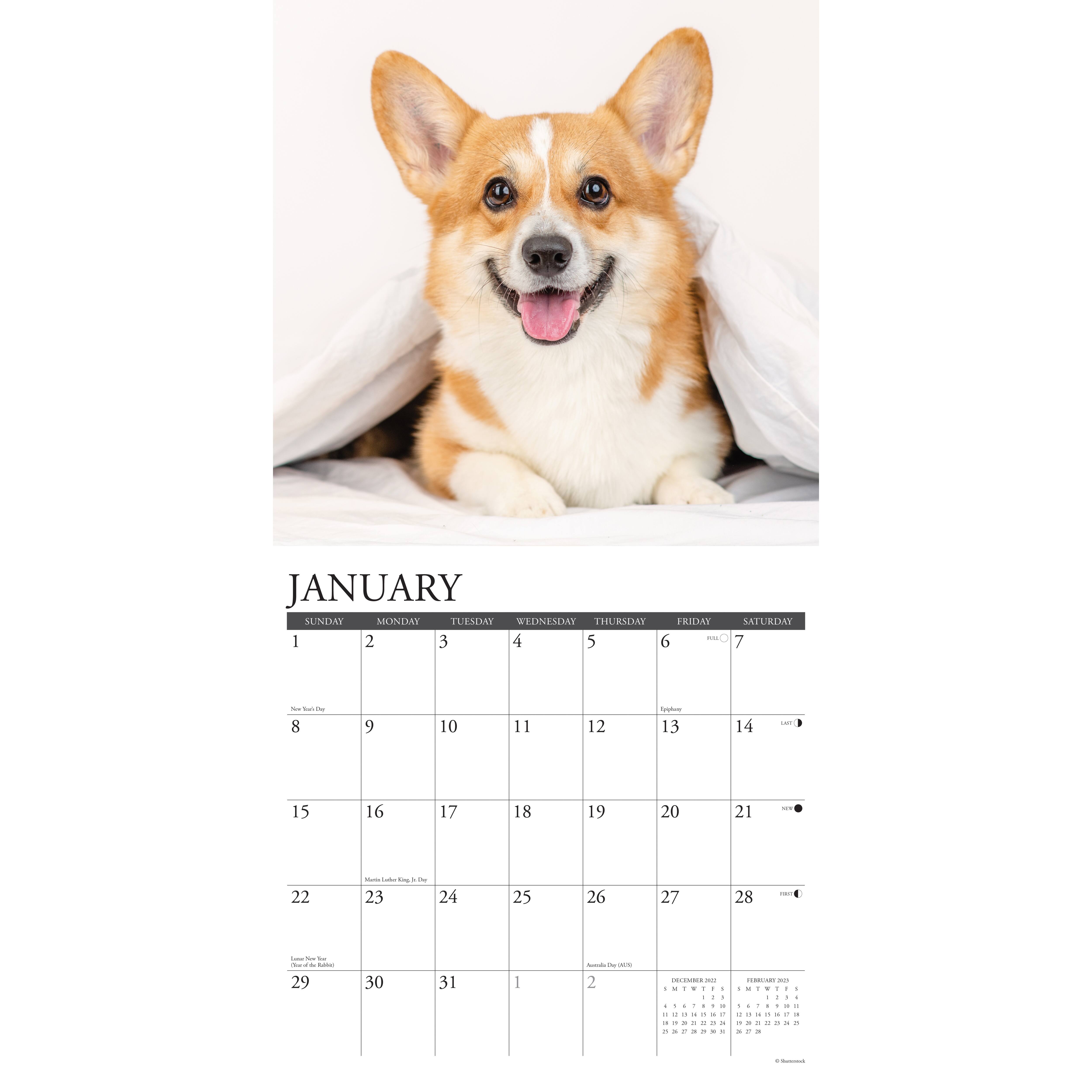 2023 Just Wall Calendar Michaels