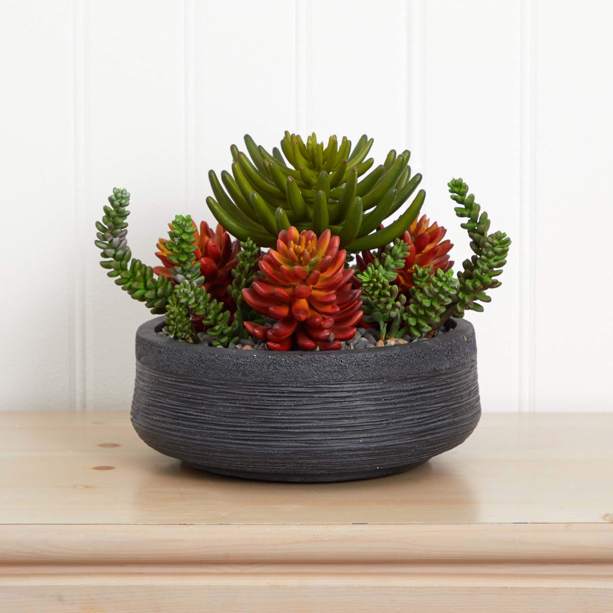 12in. Succulent Garden in Stone Bowl