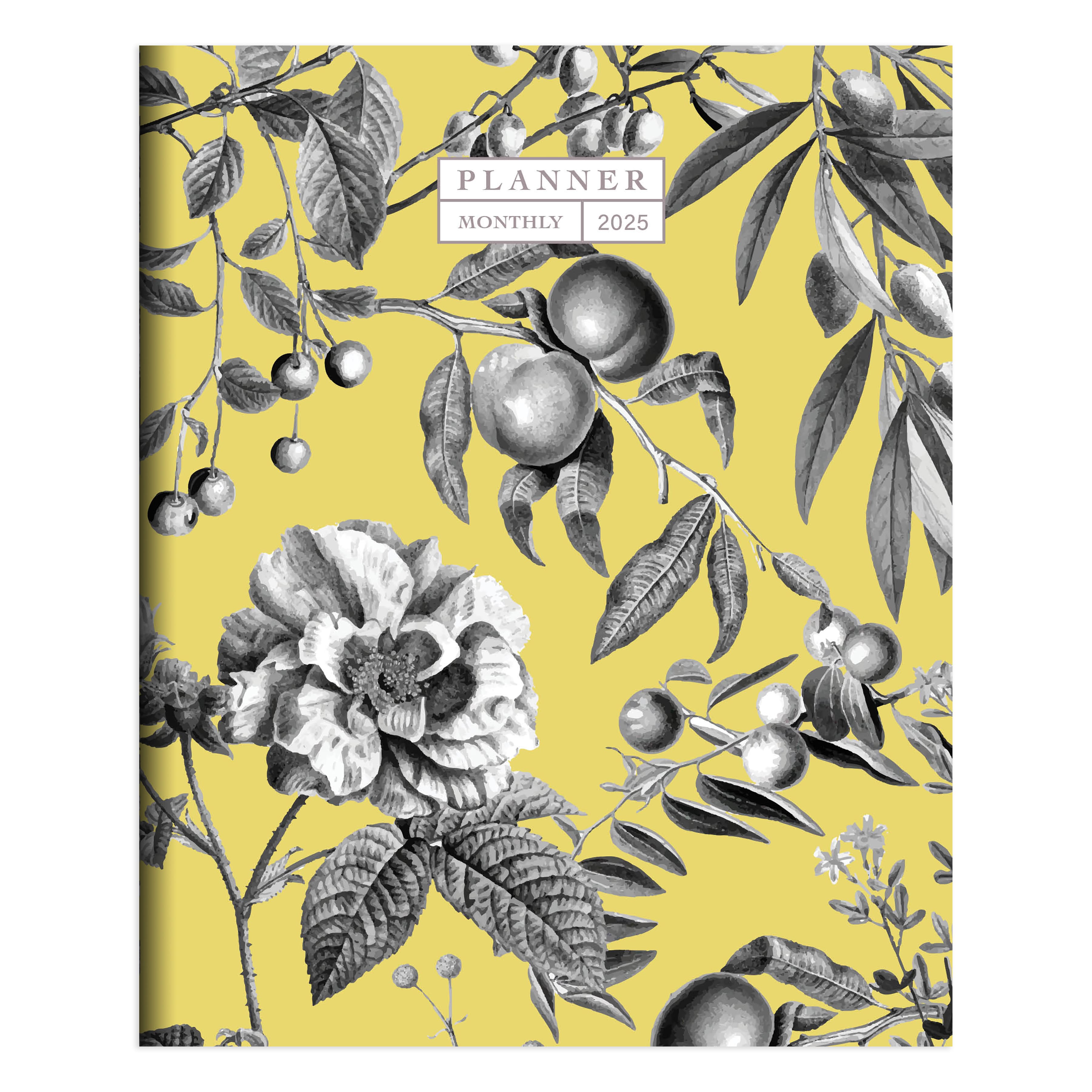 TF Publishing 2025 Beyond the Pale Yellow Medium Monthly Planner