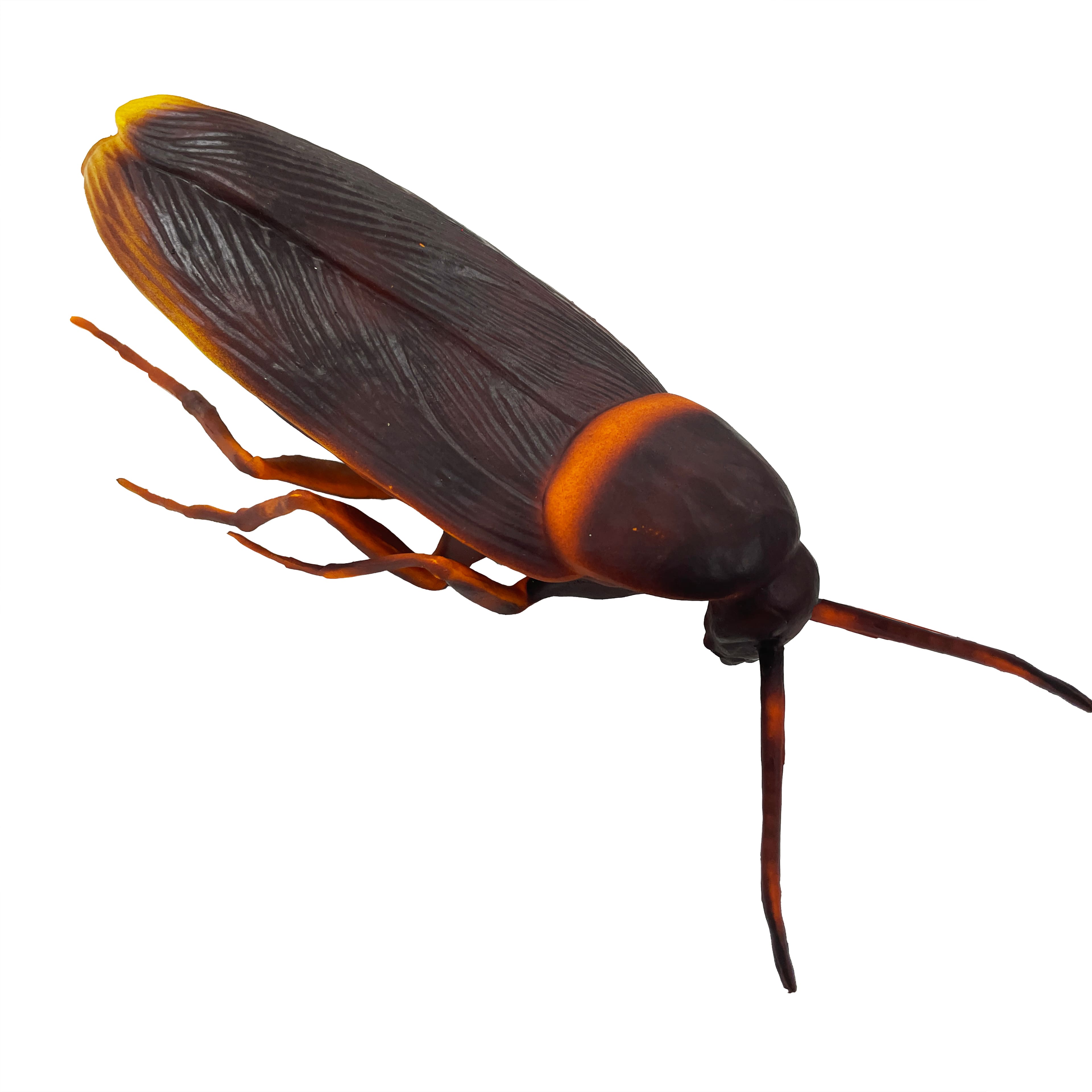 11.75&#x22; Apocalyptic Cockroach by Ashland&#xAE;