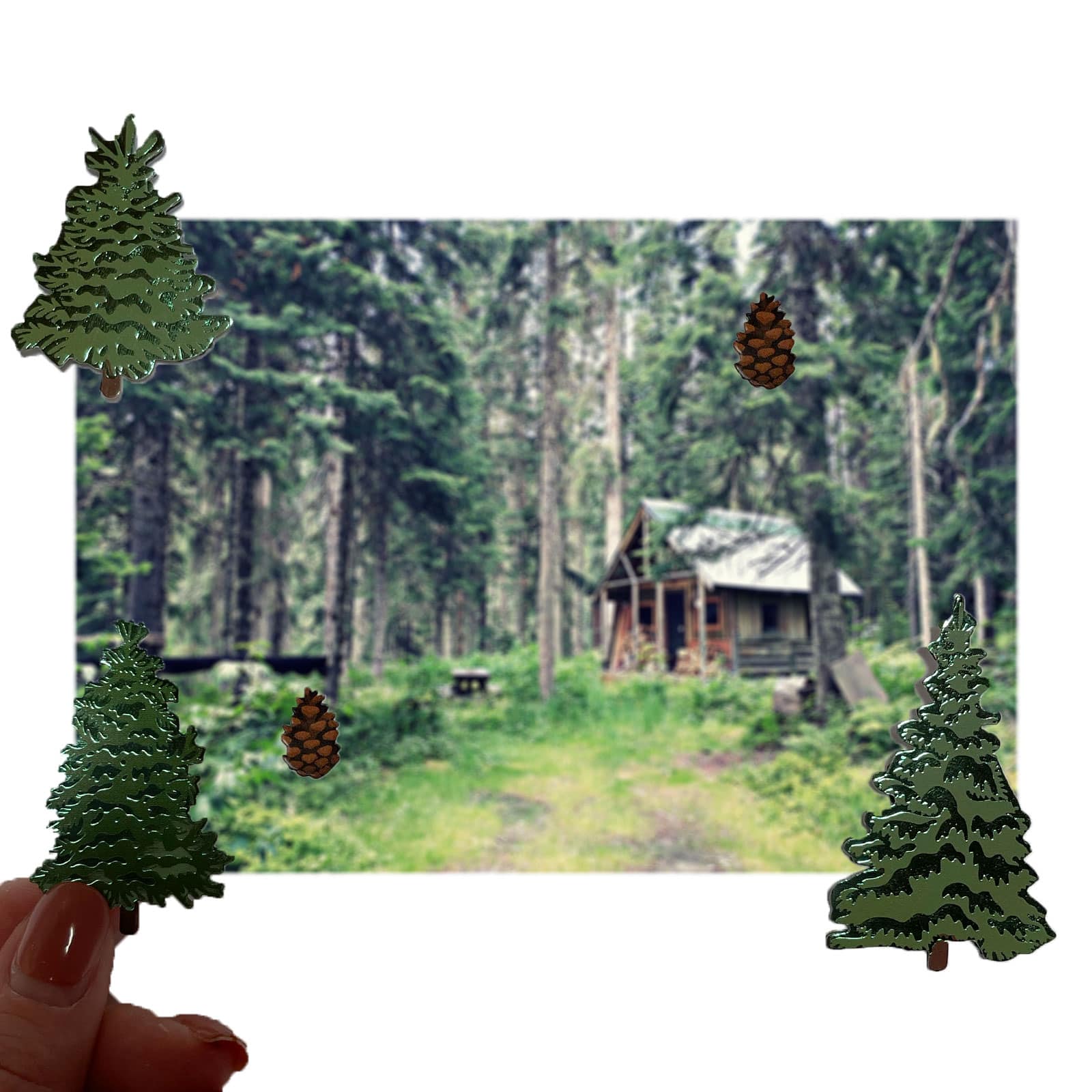 12 Pack: Pinecone & Tree Stickers by Recollections™