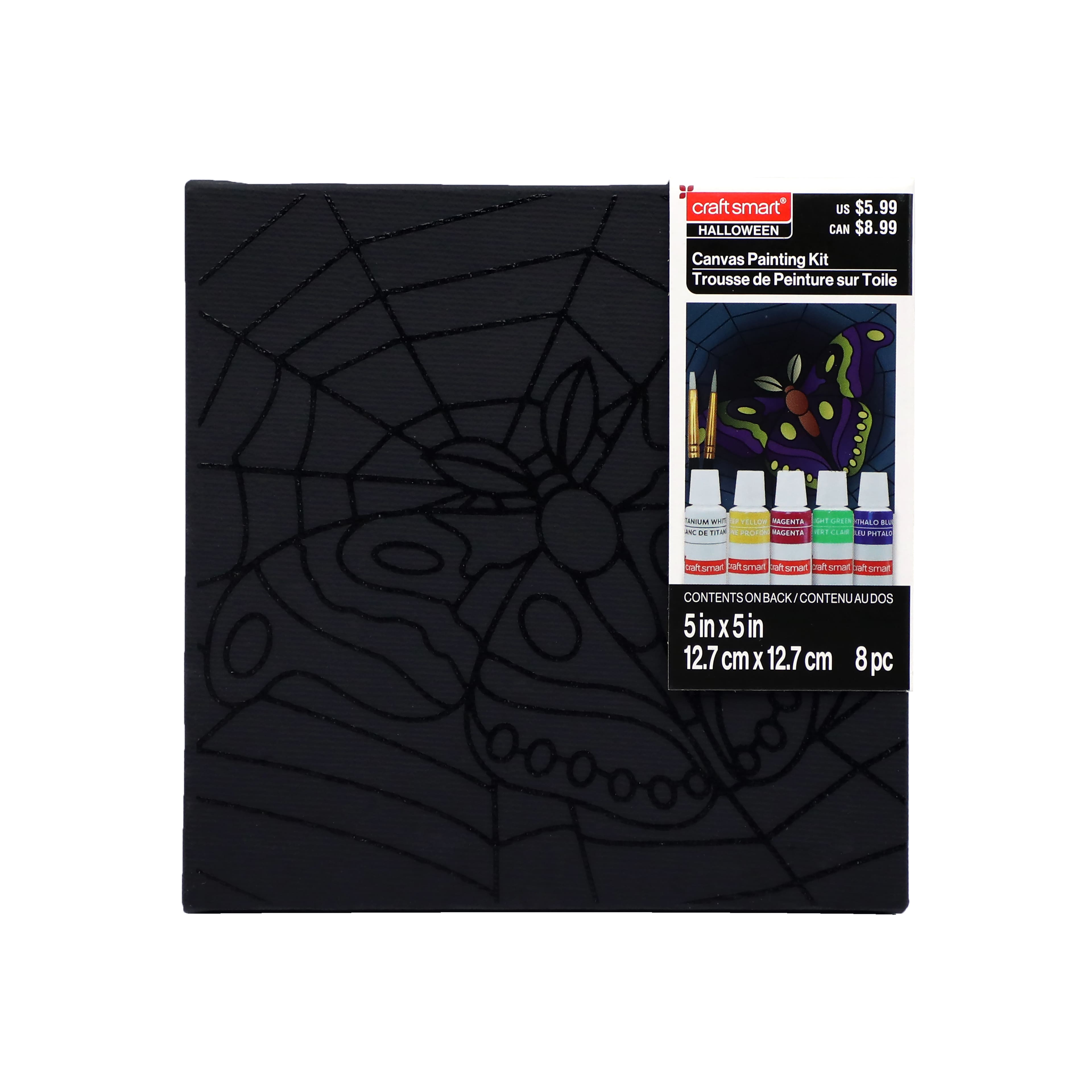 5&#x22; x 5&#x22; Moth in Web Canvas Painting Kit by Craft Smart&#xAE;