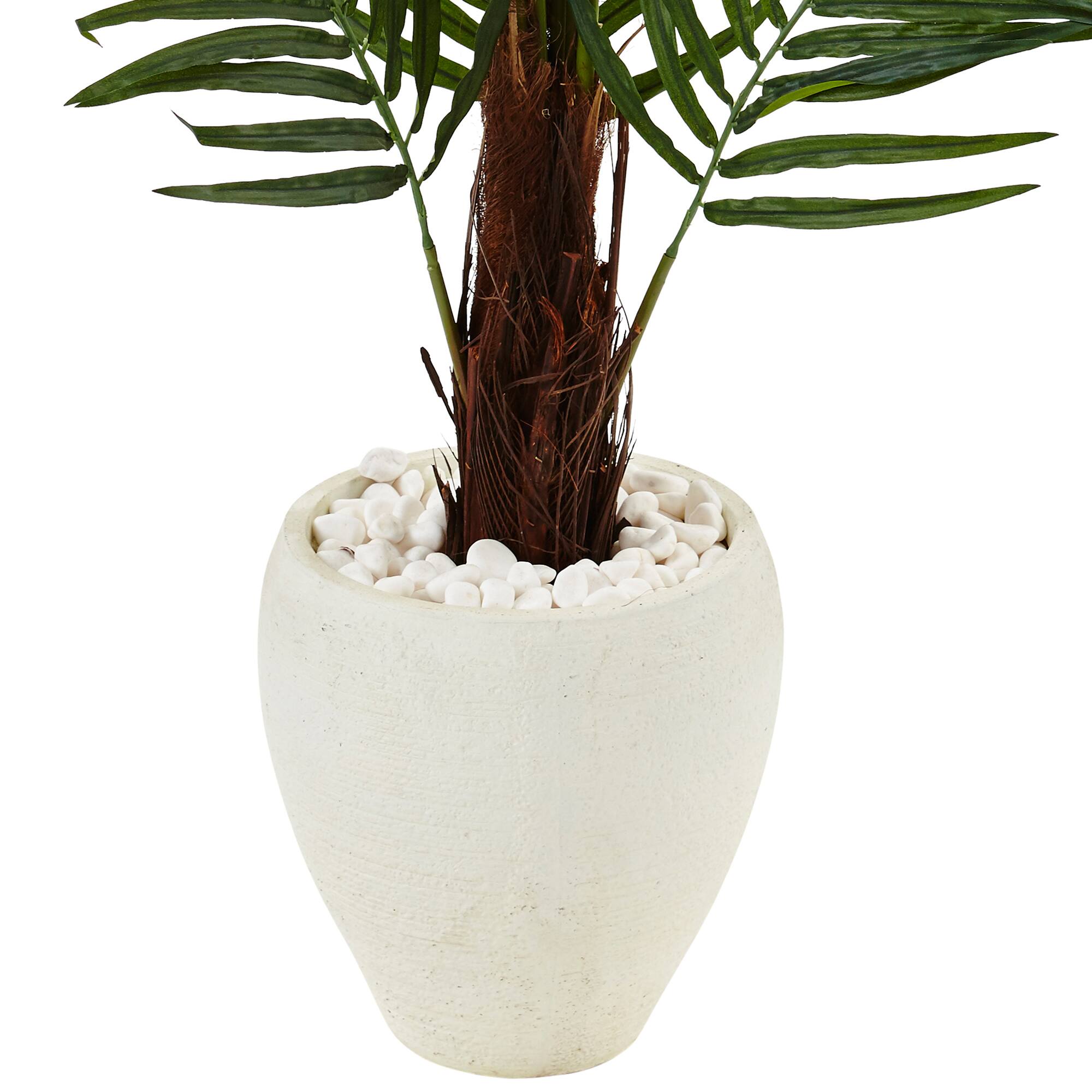 4.5ft. Areca Palm Tree in White Oval Planter