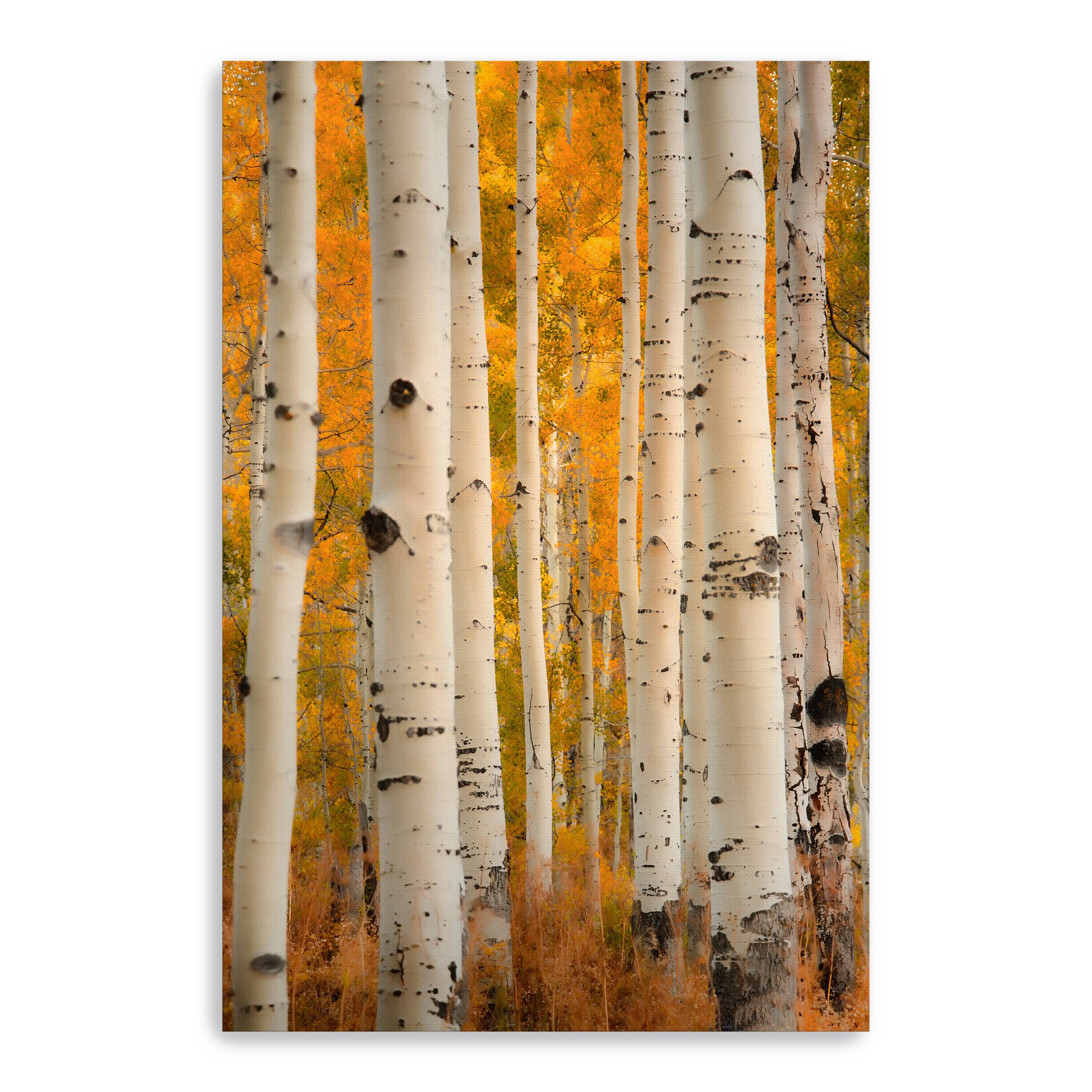 Orange Autumn Canvas Giclee
