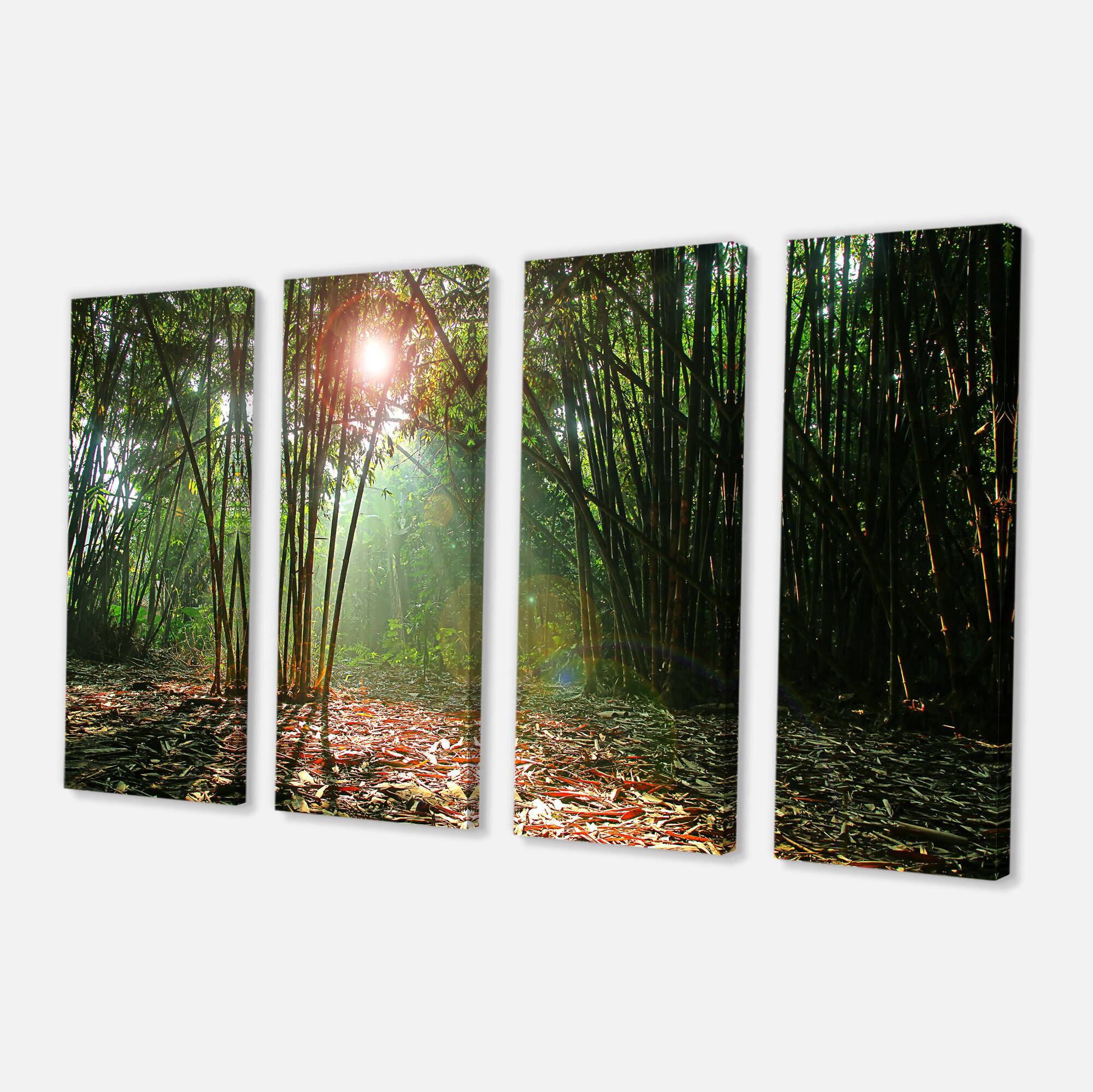 Designart - Amazing Green Forest at Sunset - Landscape Canvas Art Print
