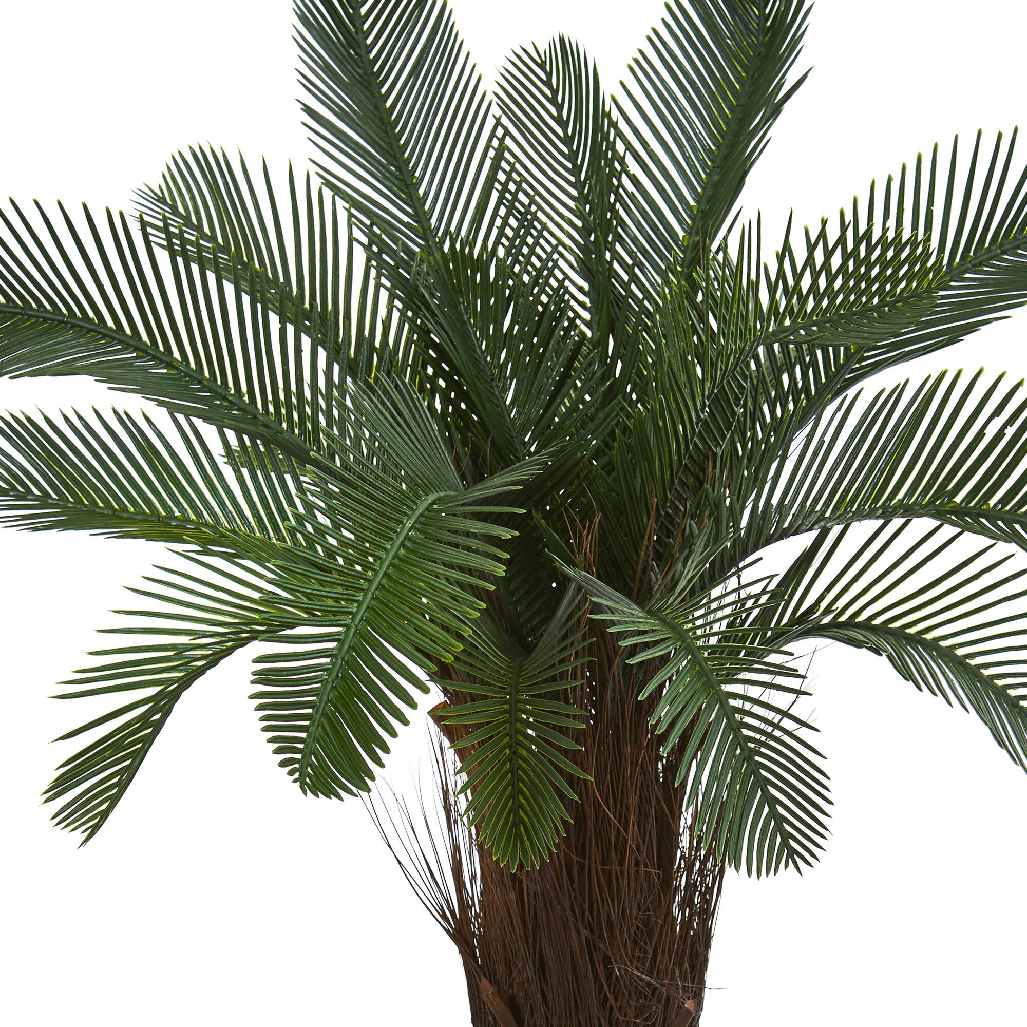 5ft. Potted UV Resistant Cycas Tree