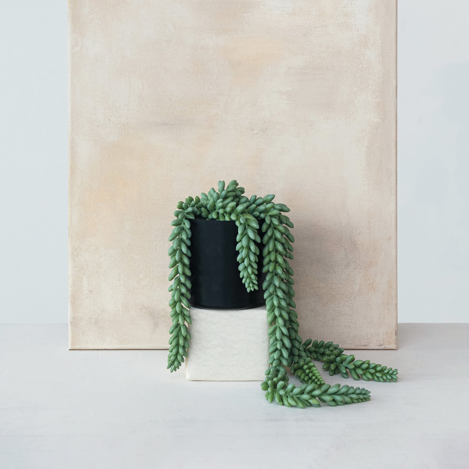 Hello Honey&#xAE; 22&#x22; Verdant Green Faux Donkey Tail Plant in Round Plastic Pot