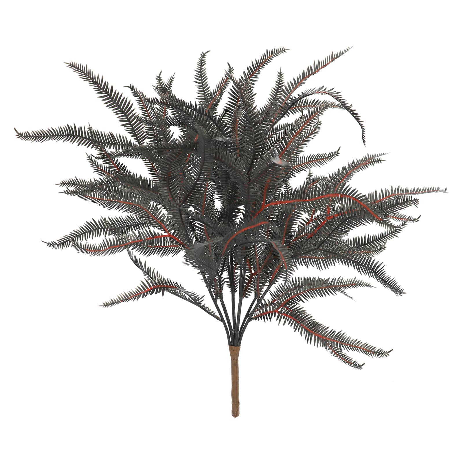 16&#x22; Black Dripping Boston Fern Bush by Ashland&#xAE;
