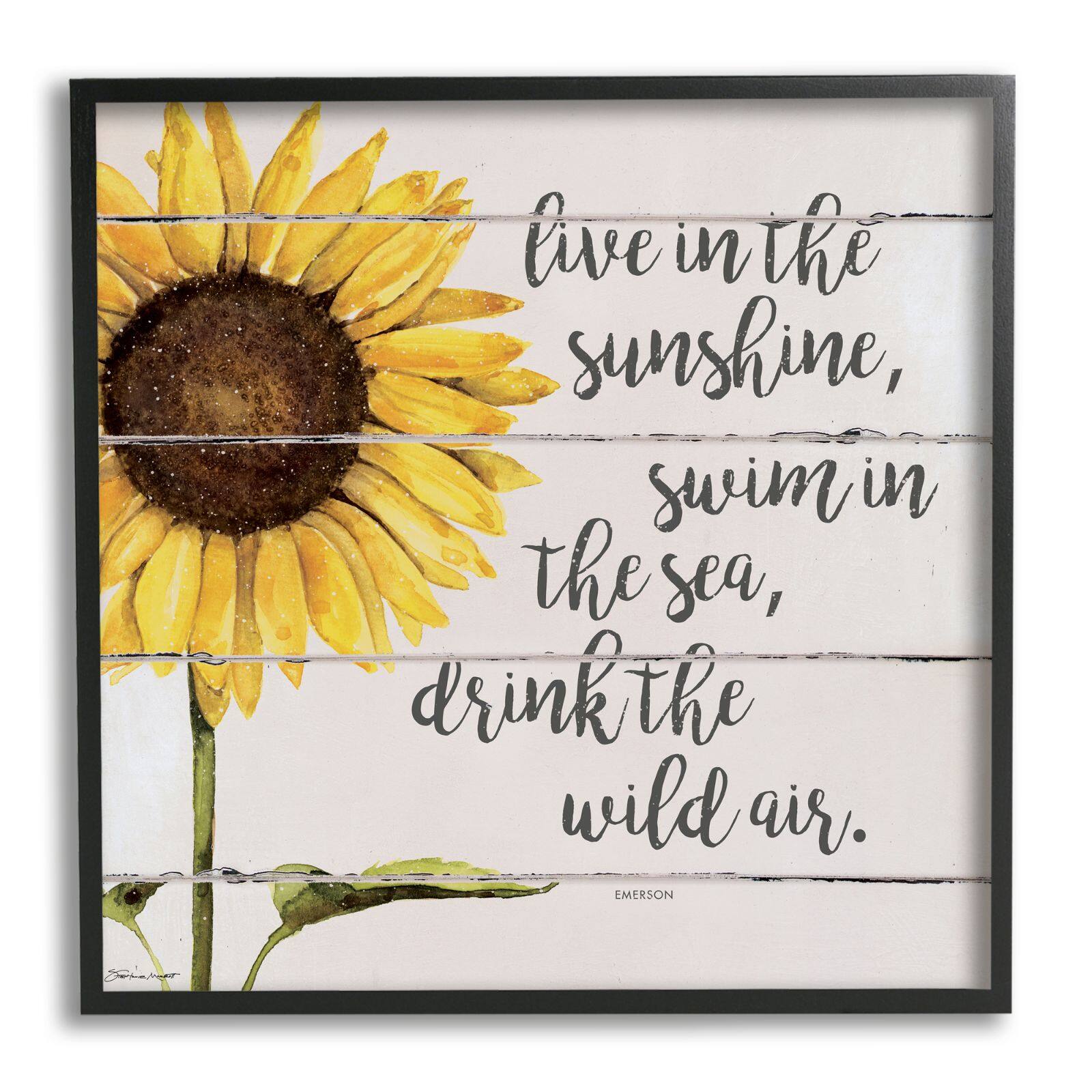 Stupell Industries Live In Sunshine Drink Wild Air Phrase Sunflower Framed Wall Art