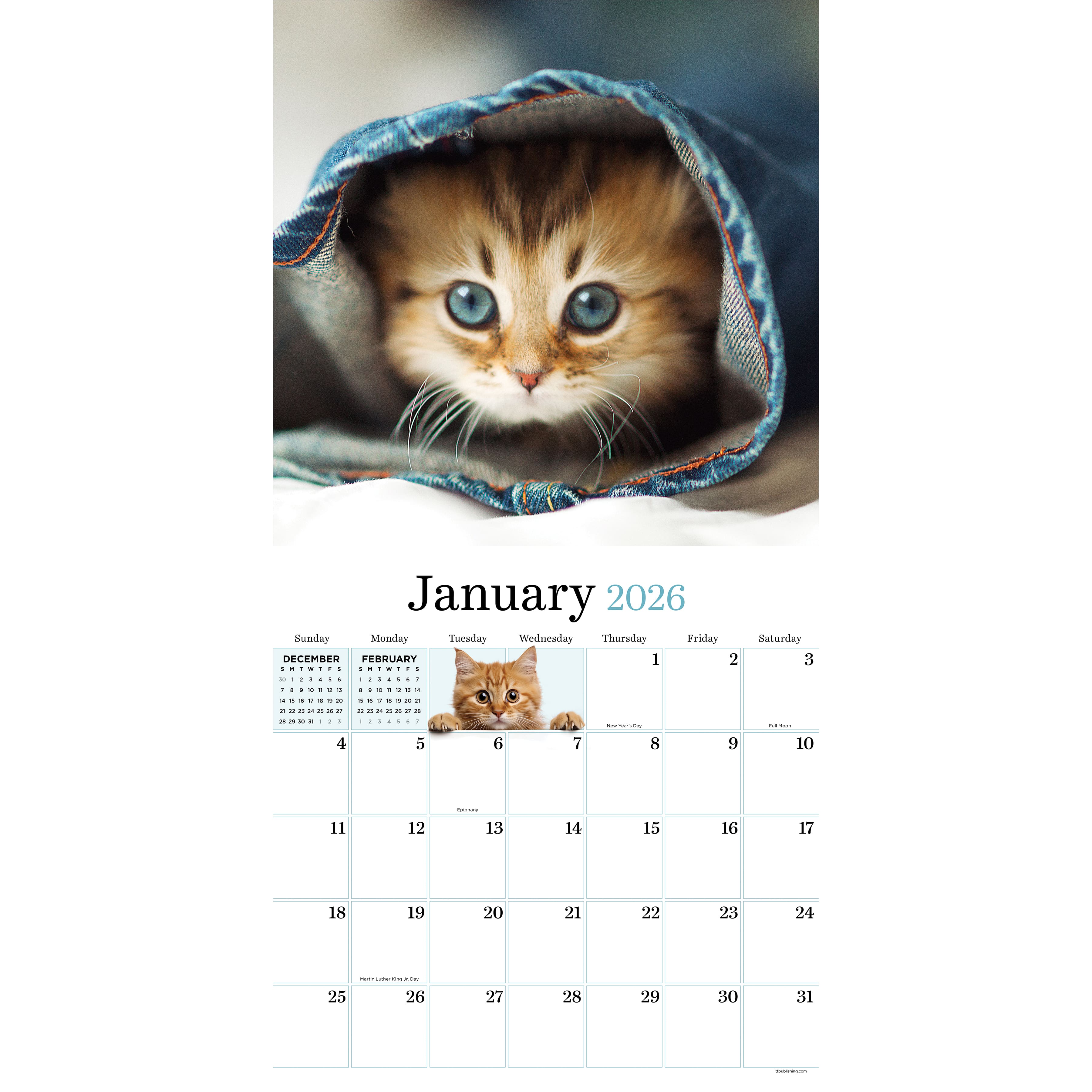 2026 Kittens Wall Calendar