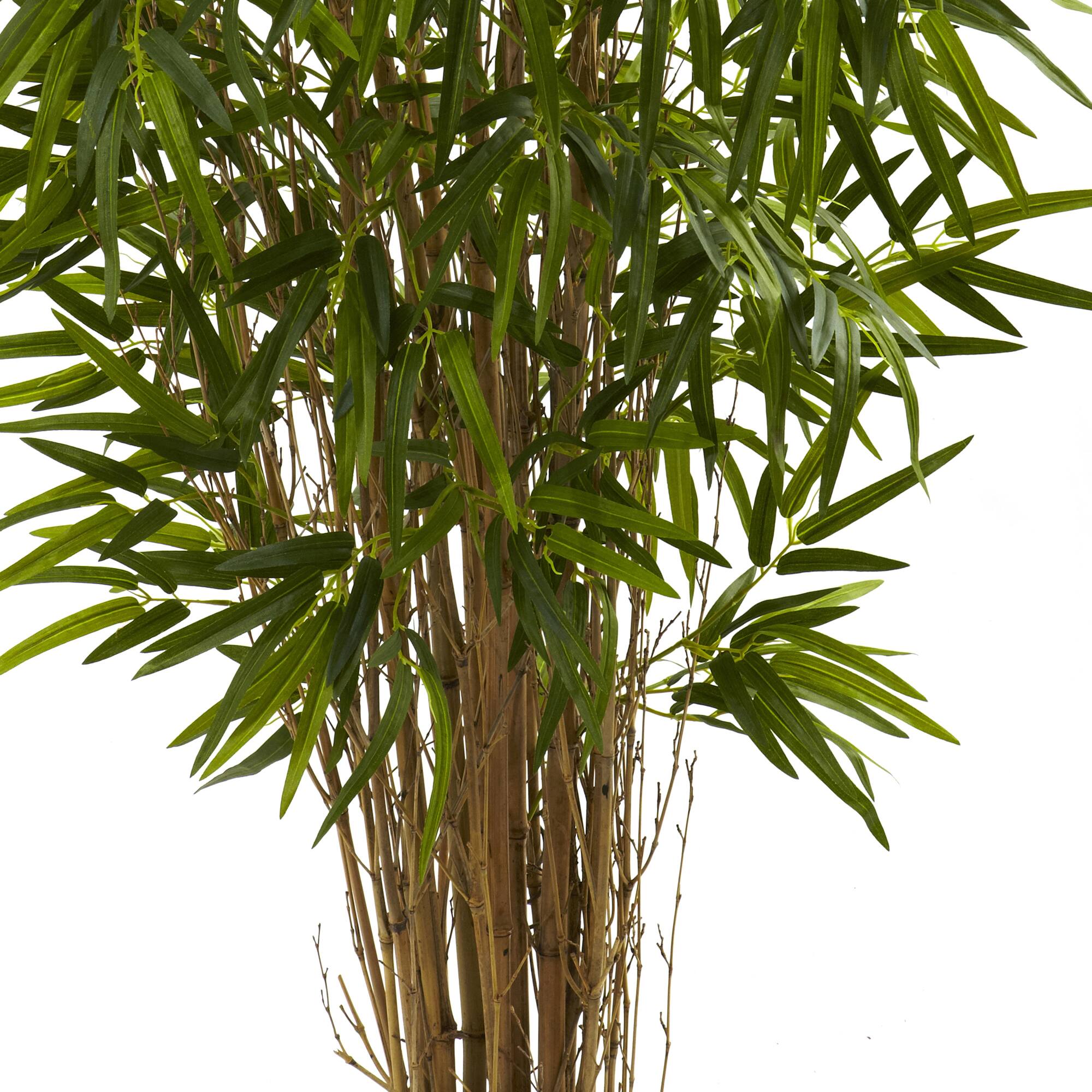 4ft. Potted Twiggy Bamboo Tree