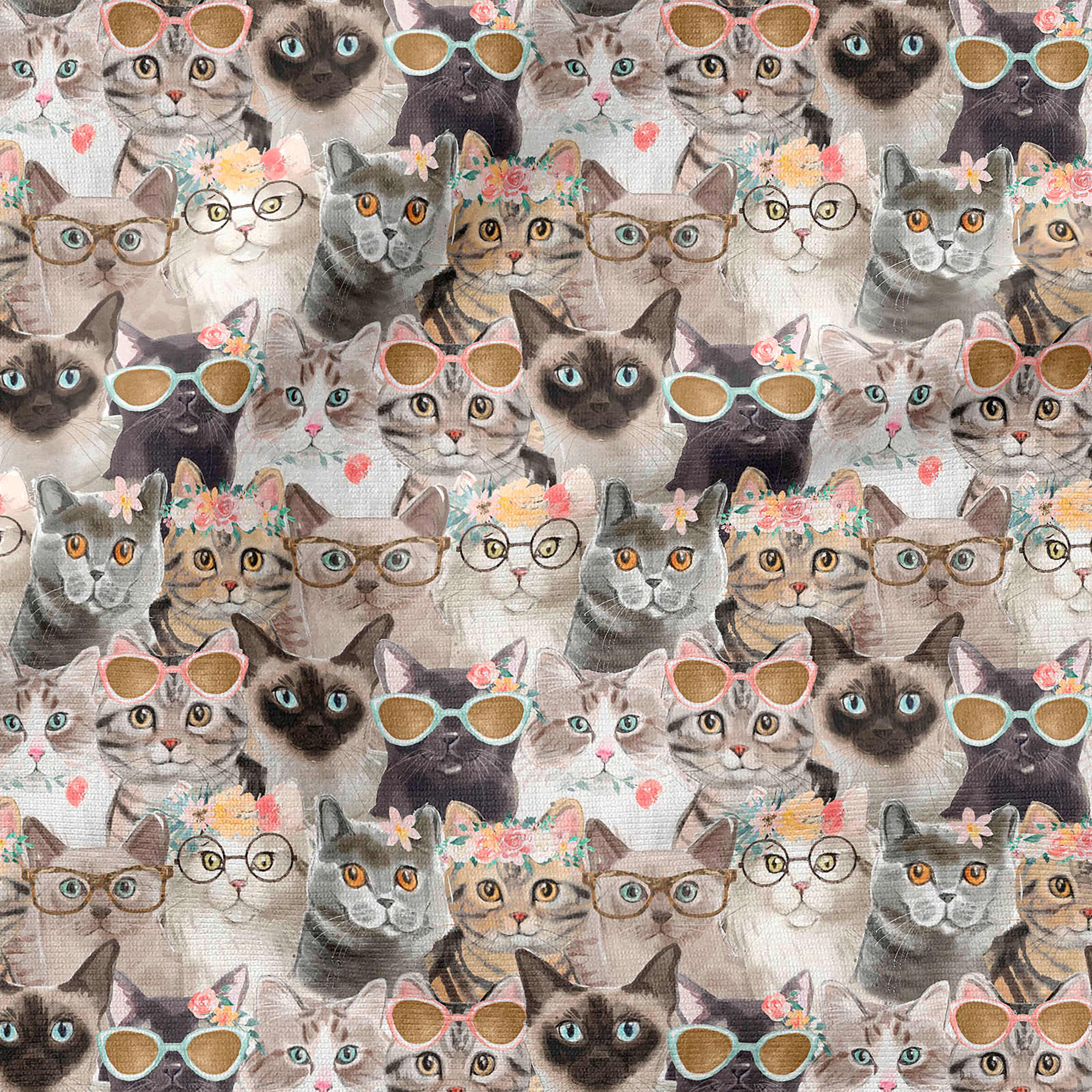 Fabric Editions Cool Kittens Cotton Fabric