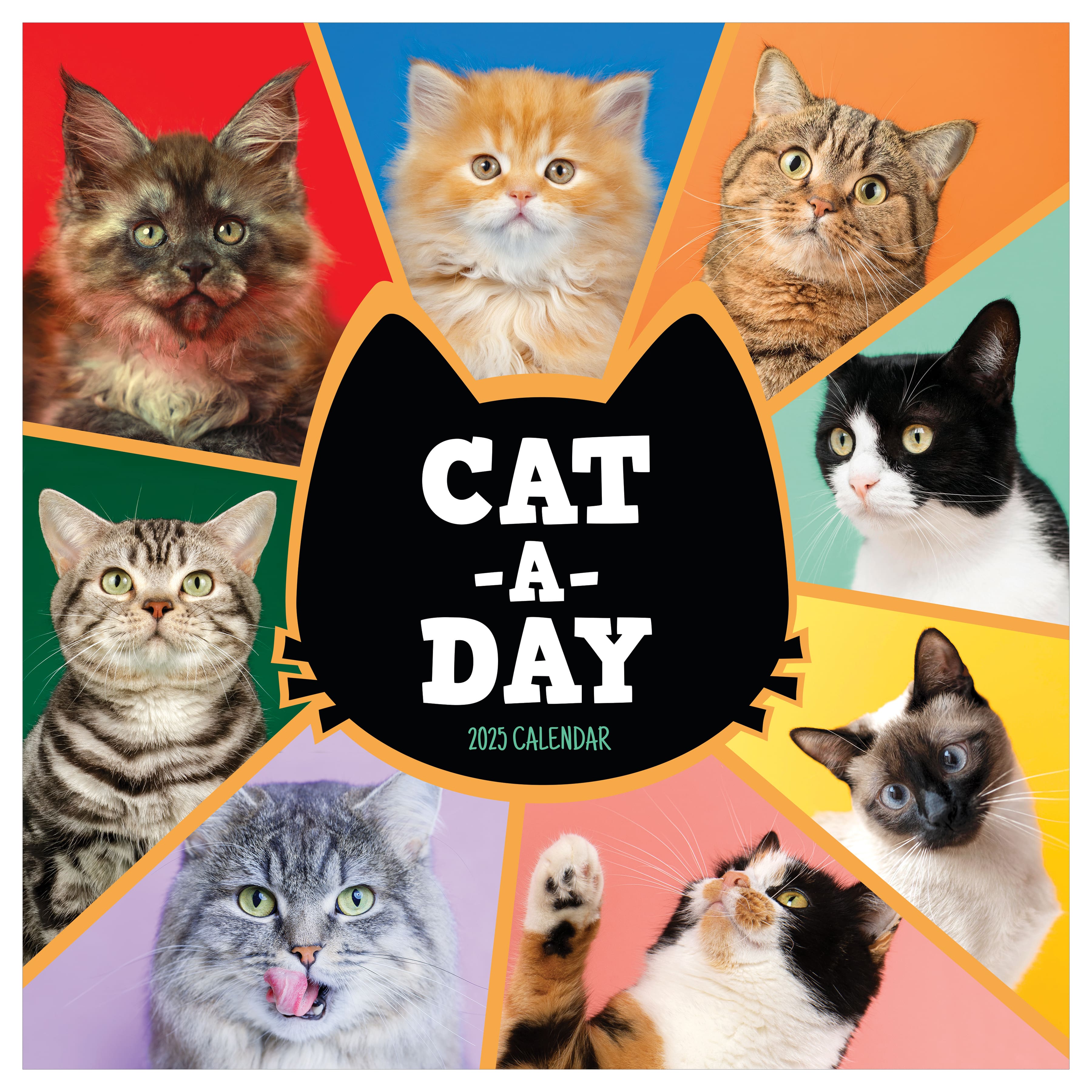 TF Publishing 2025 Cat-a-Day Wall Calendar