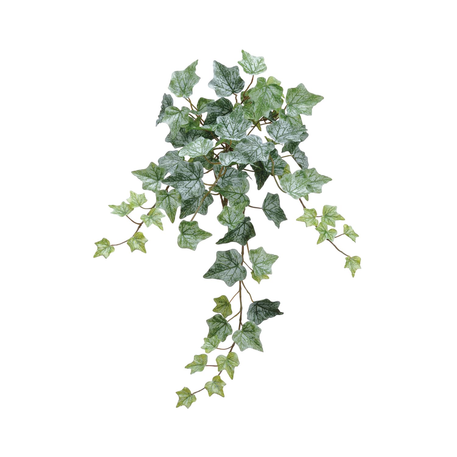 12 Pack of Green Frost One-Piece Ivy Bush By Allstate | Michaels®