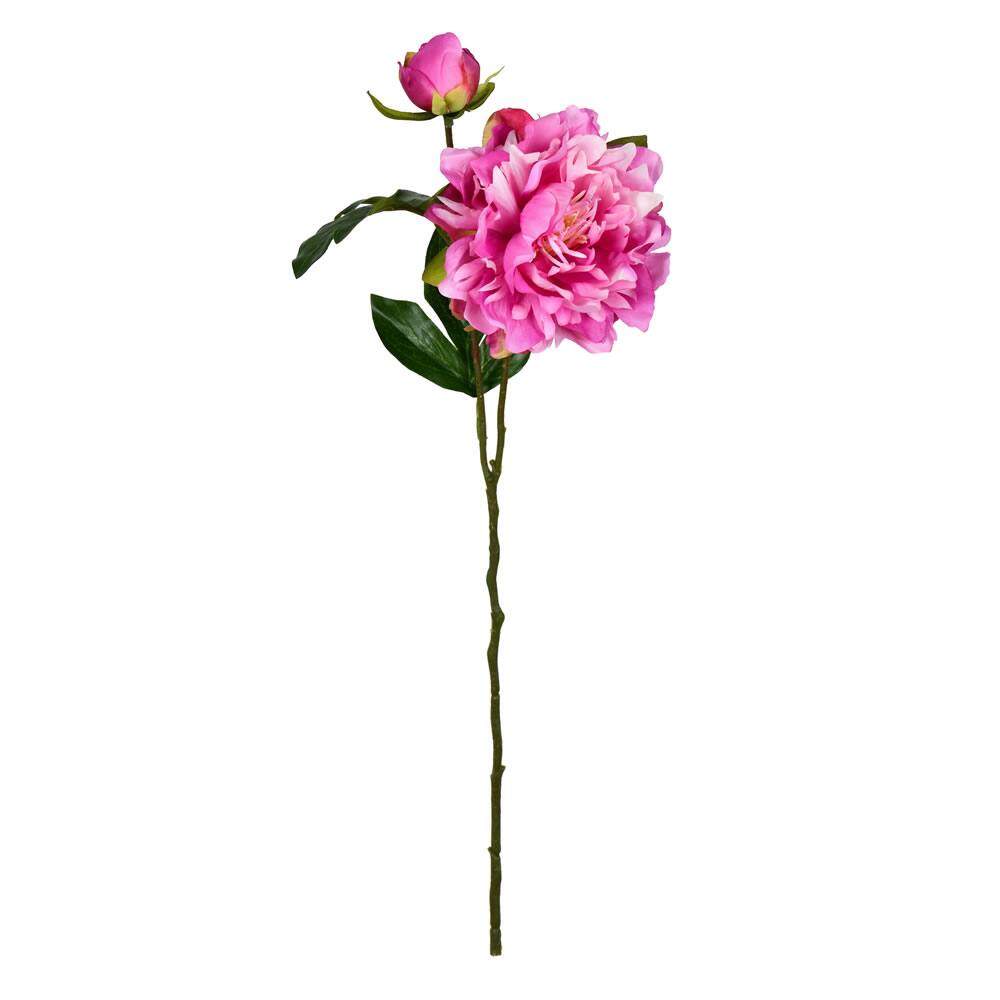 Fuchsia Peony Spray, 6ct.