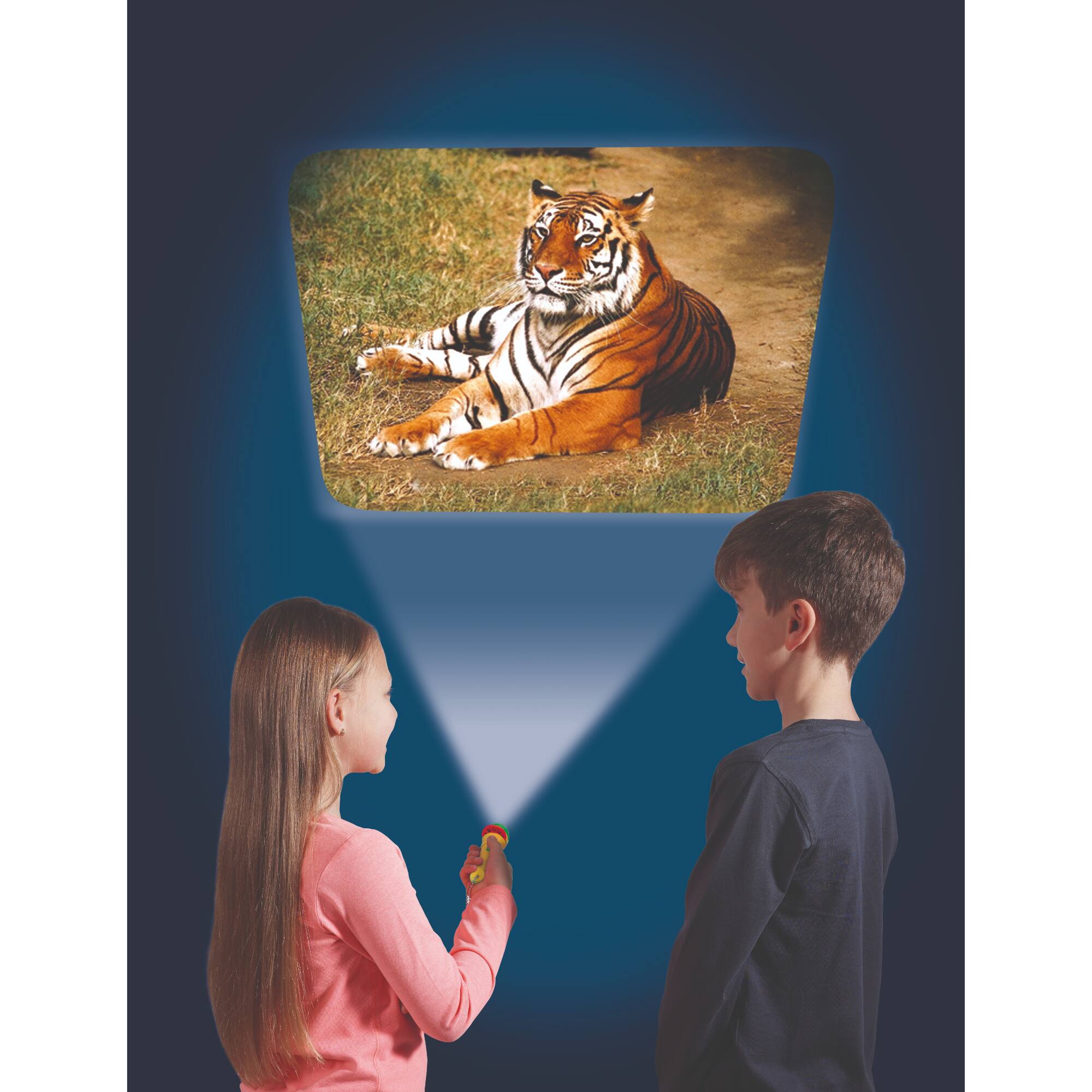 Brainstorm Toys Animal Flashlight & Projector