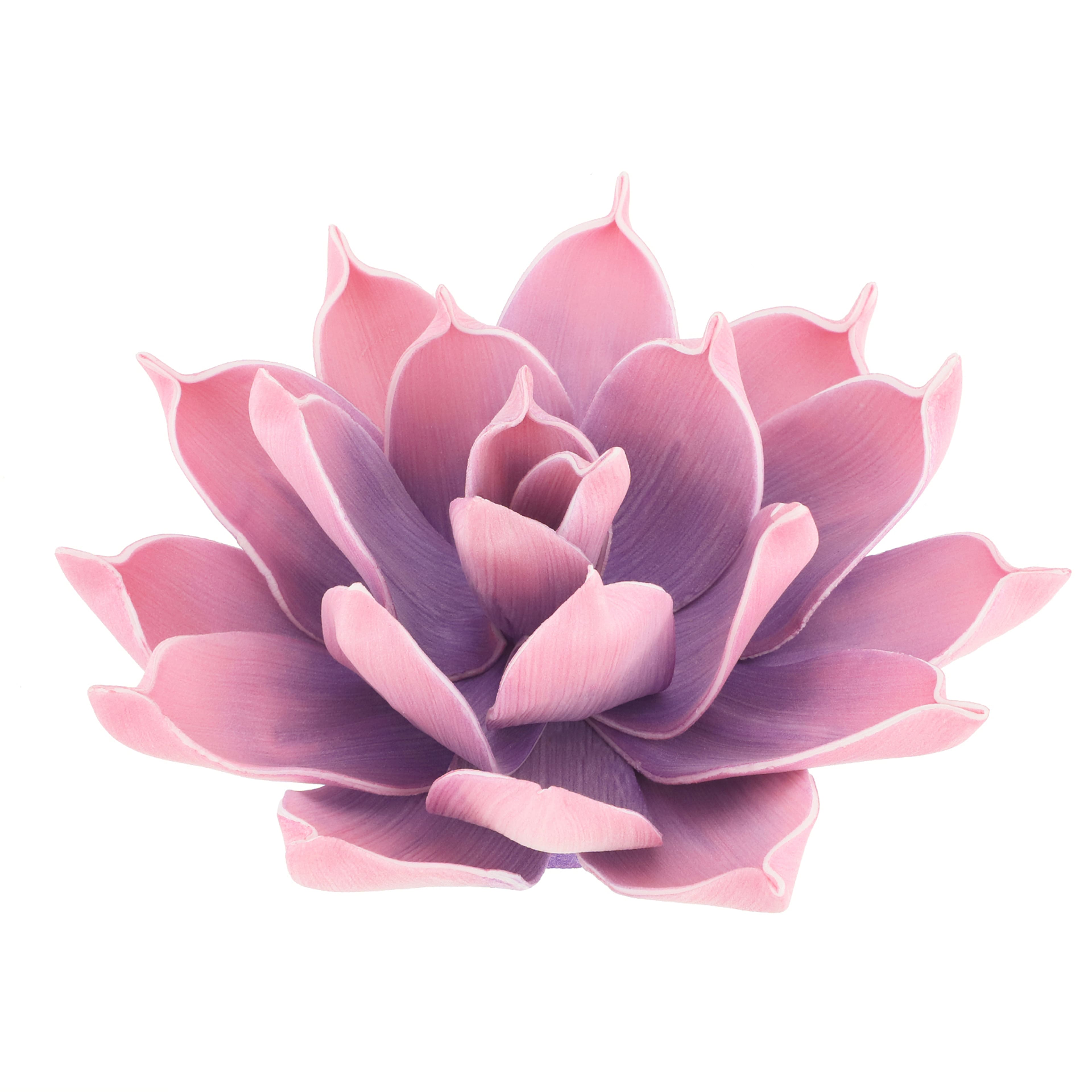 7&#x22; Pink Decorative Succulent by Ashland&#xAE;