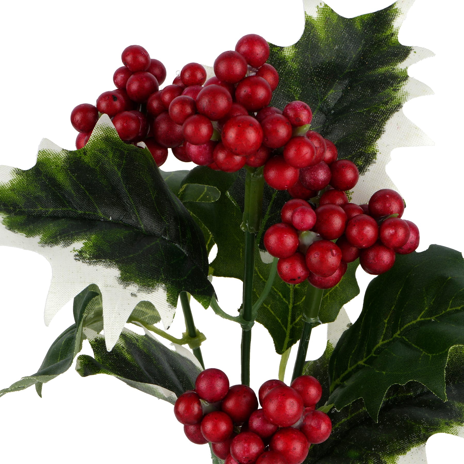 10&#x22; Red Holly Berry Bush by Ashland&#xAE;