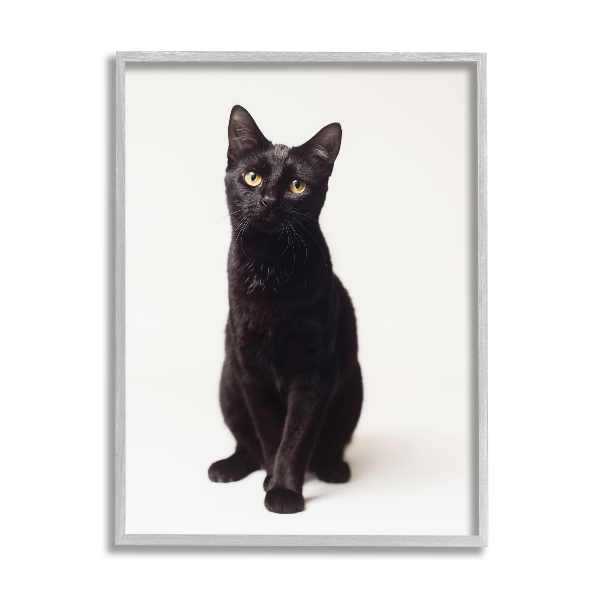 Stupell Industries Cute Black Cat Expressive Eyes Pet Portrait in Gray Frame Wall Art