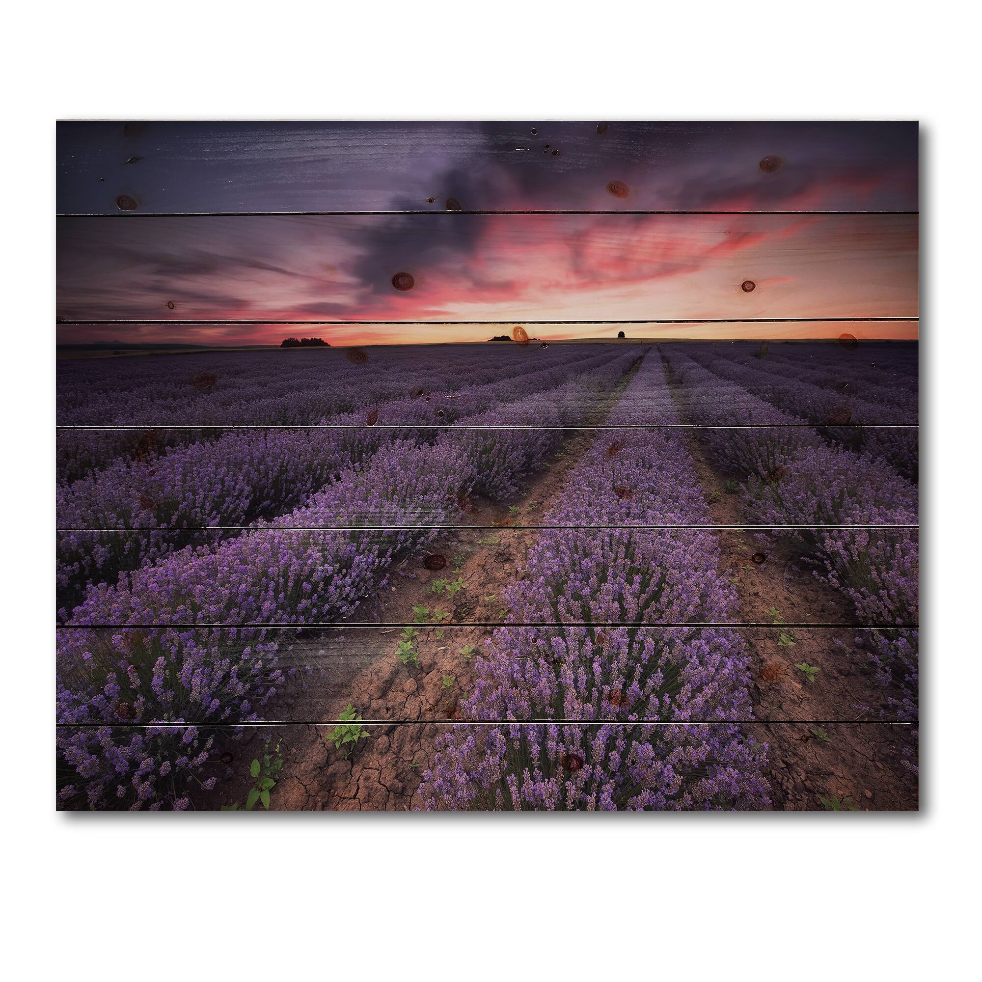 Designart - Sunrise &#x26; Dramatic Clouds Over Lavender Field IX - Farmhouse Print on Natural Pine Wood