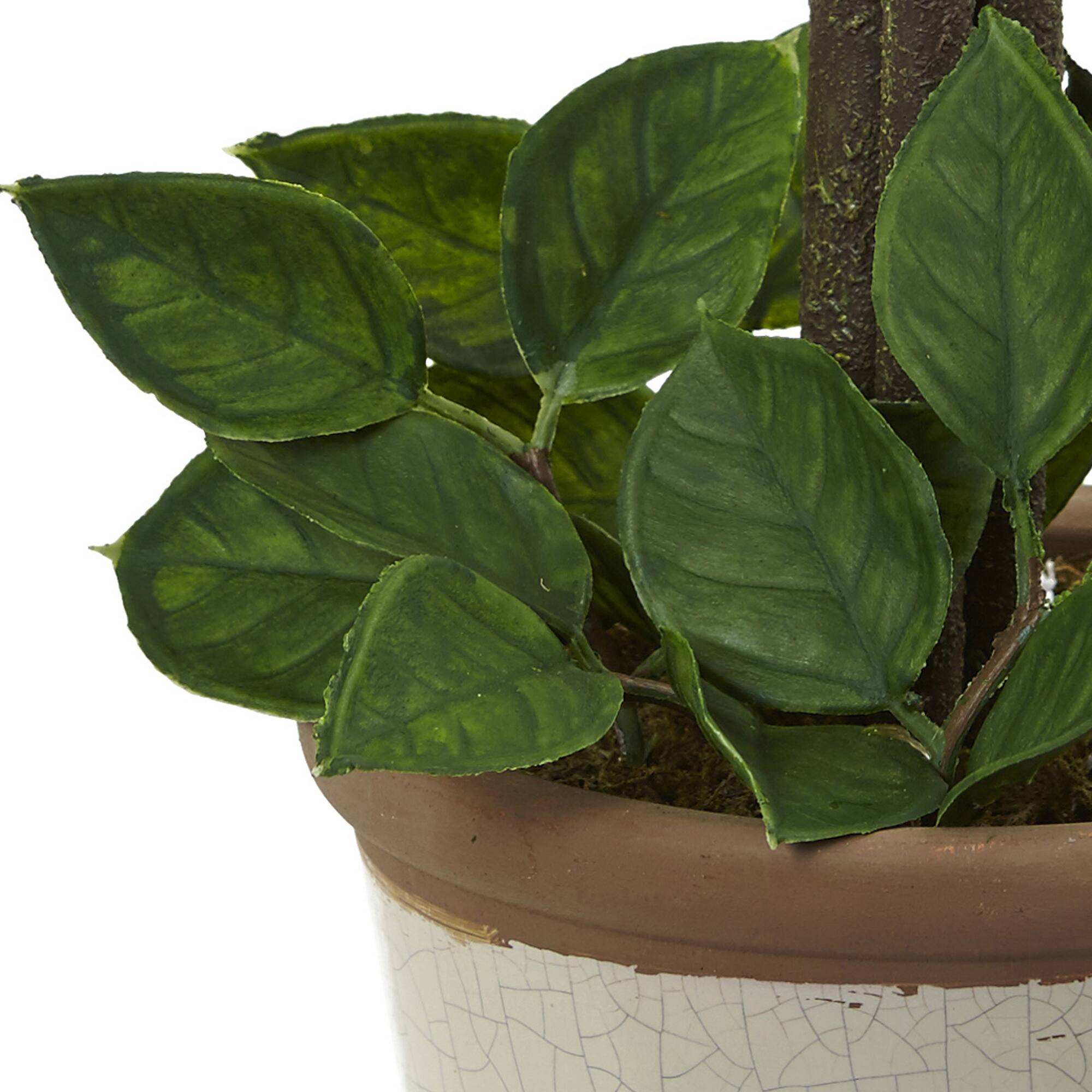 18" Potted Lemon Ball Topiary Arrangement 