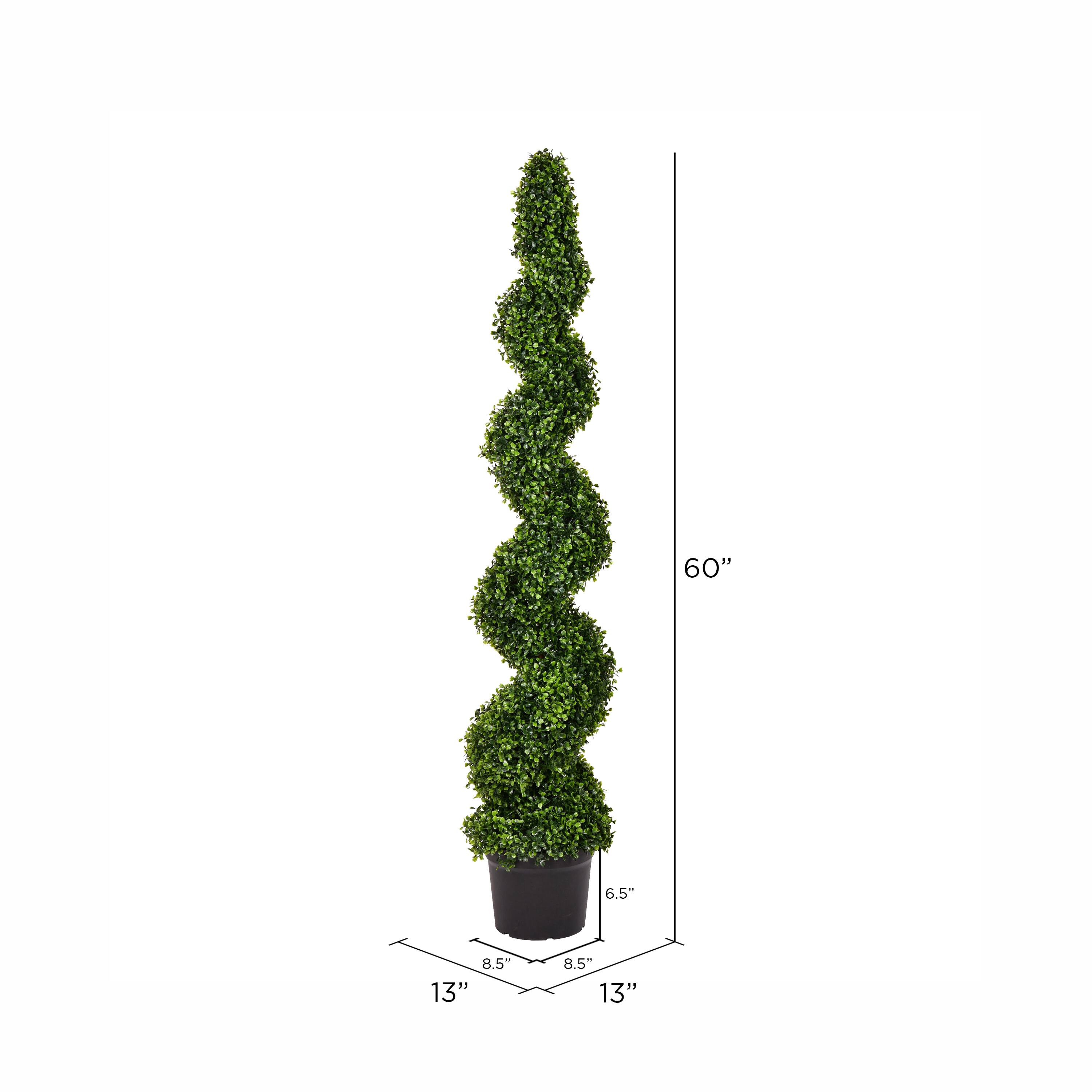 5ft. Potted Green Boxwood Spiral Tree
