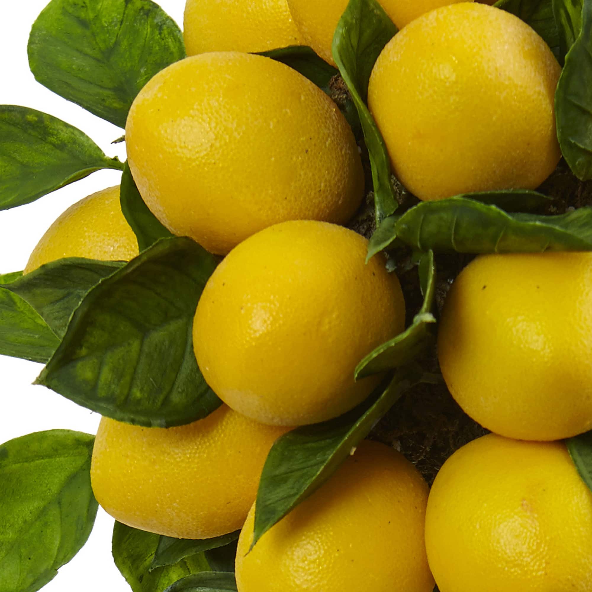 18" Potted Lemon Ball Topiary Arrangement 