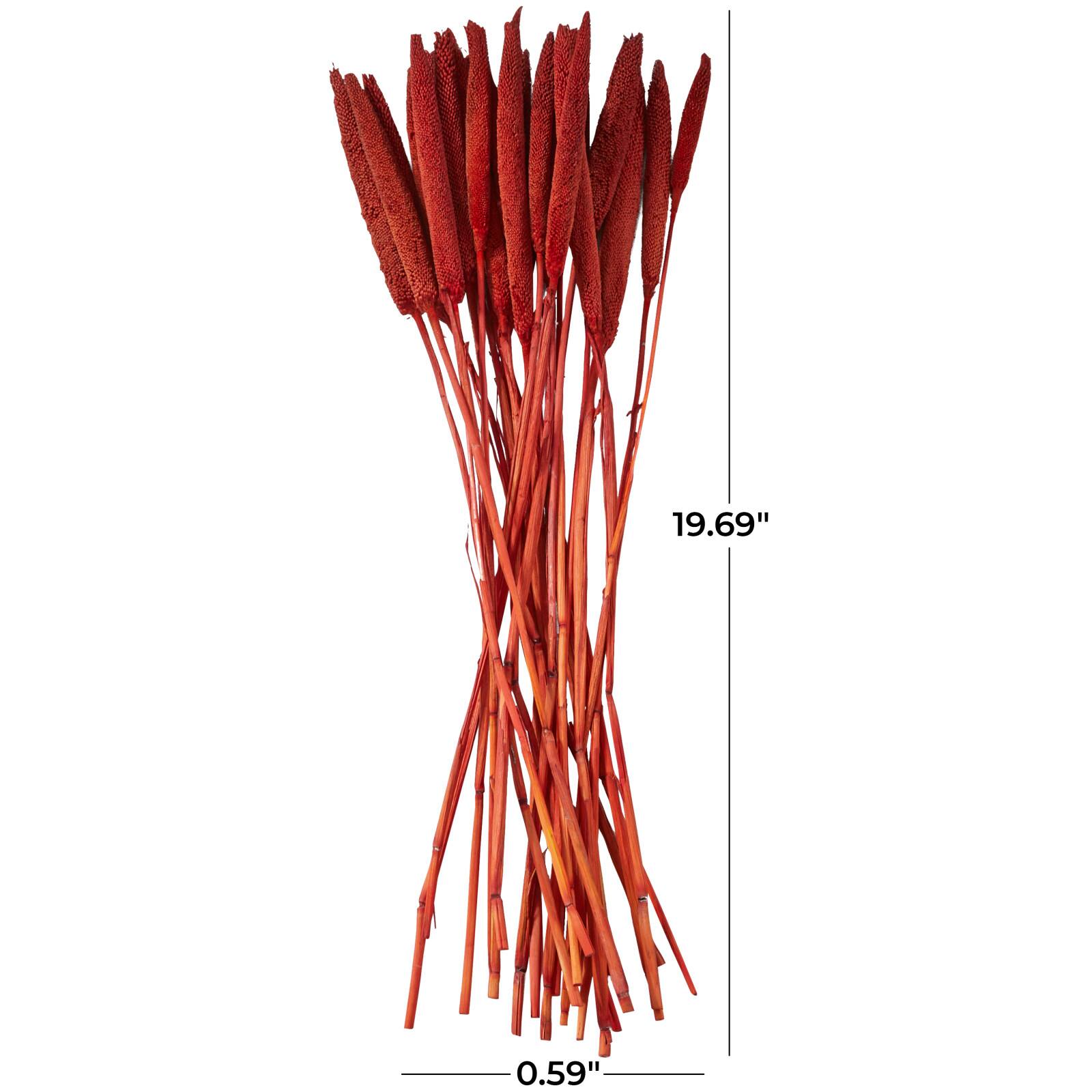 Dried Plant Bunny Tail Natural Foliage with Long Stems