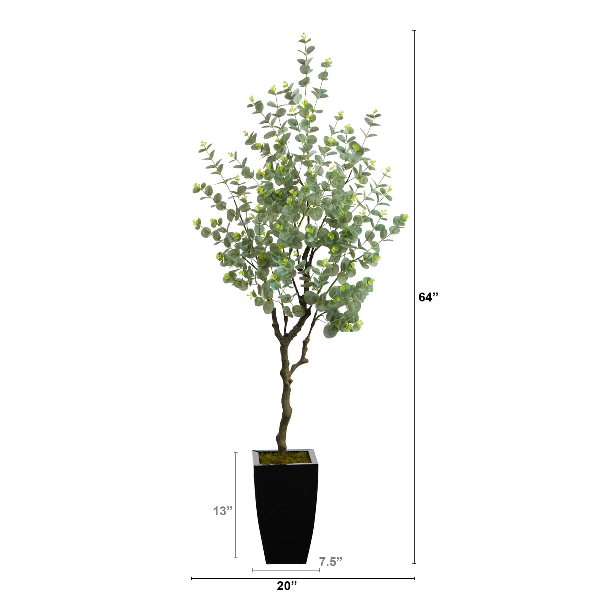5.5ft. Eucalyptus Artificial Tree in Black Metal Planter