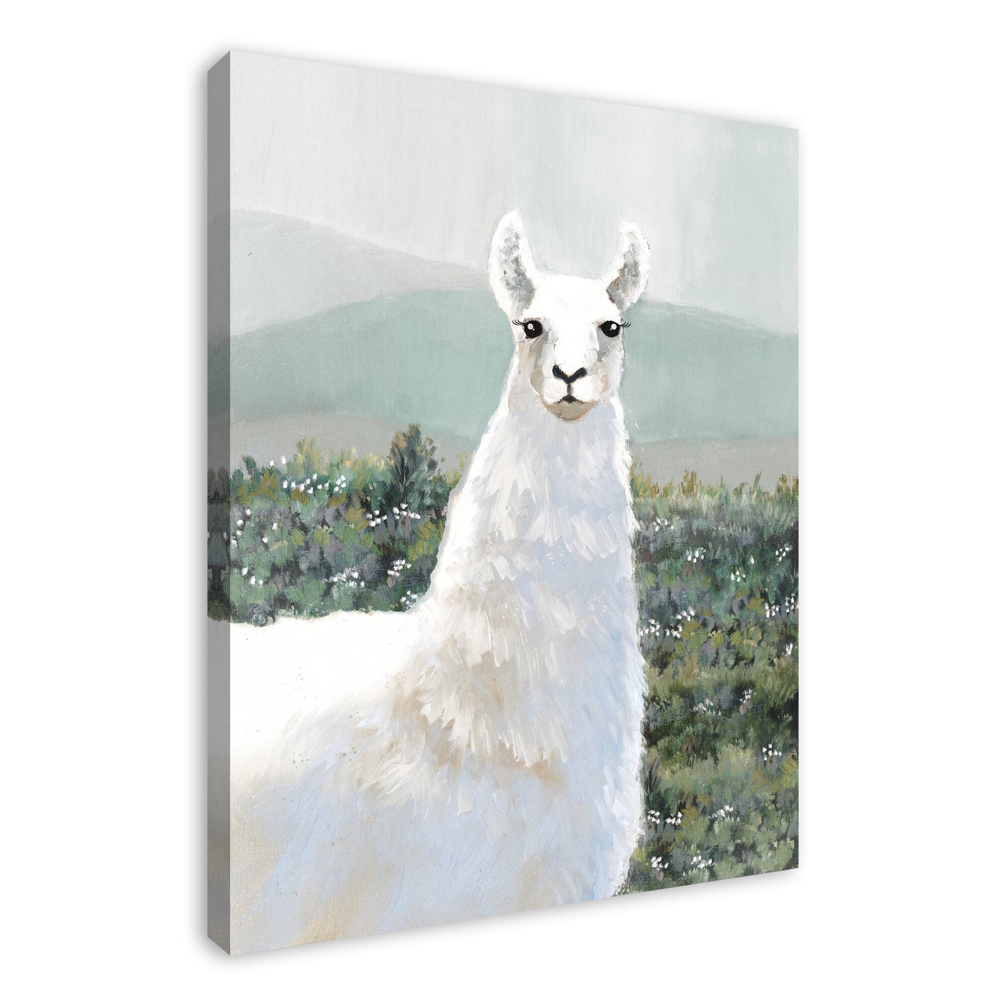 White Llama in Pasture 30" x 40" Canvas Wall Art