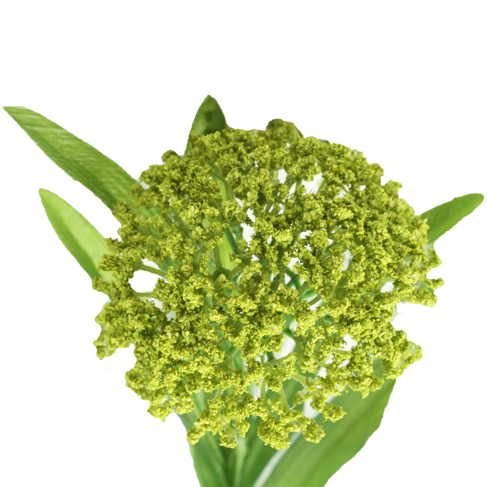 12 Pack: Green Queen Anne&#x27;s Lace Spray by Ashland&#xAE;